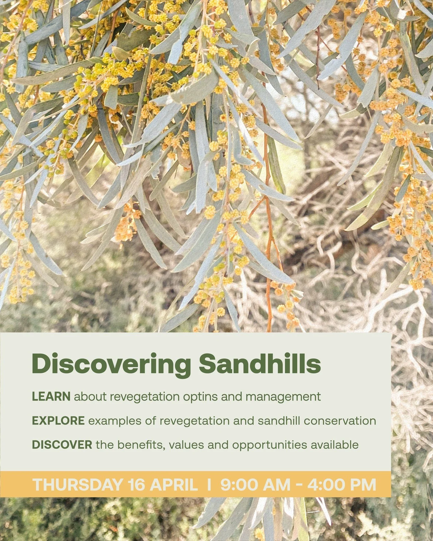 🌲Ever wondered what thrives on a sandhill? 🌲

Come along on our Discovering Sandhills tour with revegetation expert &amp; ornithologist Philip Maher and see how biodiversity creates resilient landscapes.

📅 Thurs 16 April
⏰ 9am &ndash; 4pm
💲 FREE