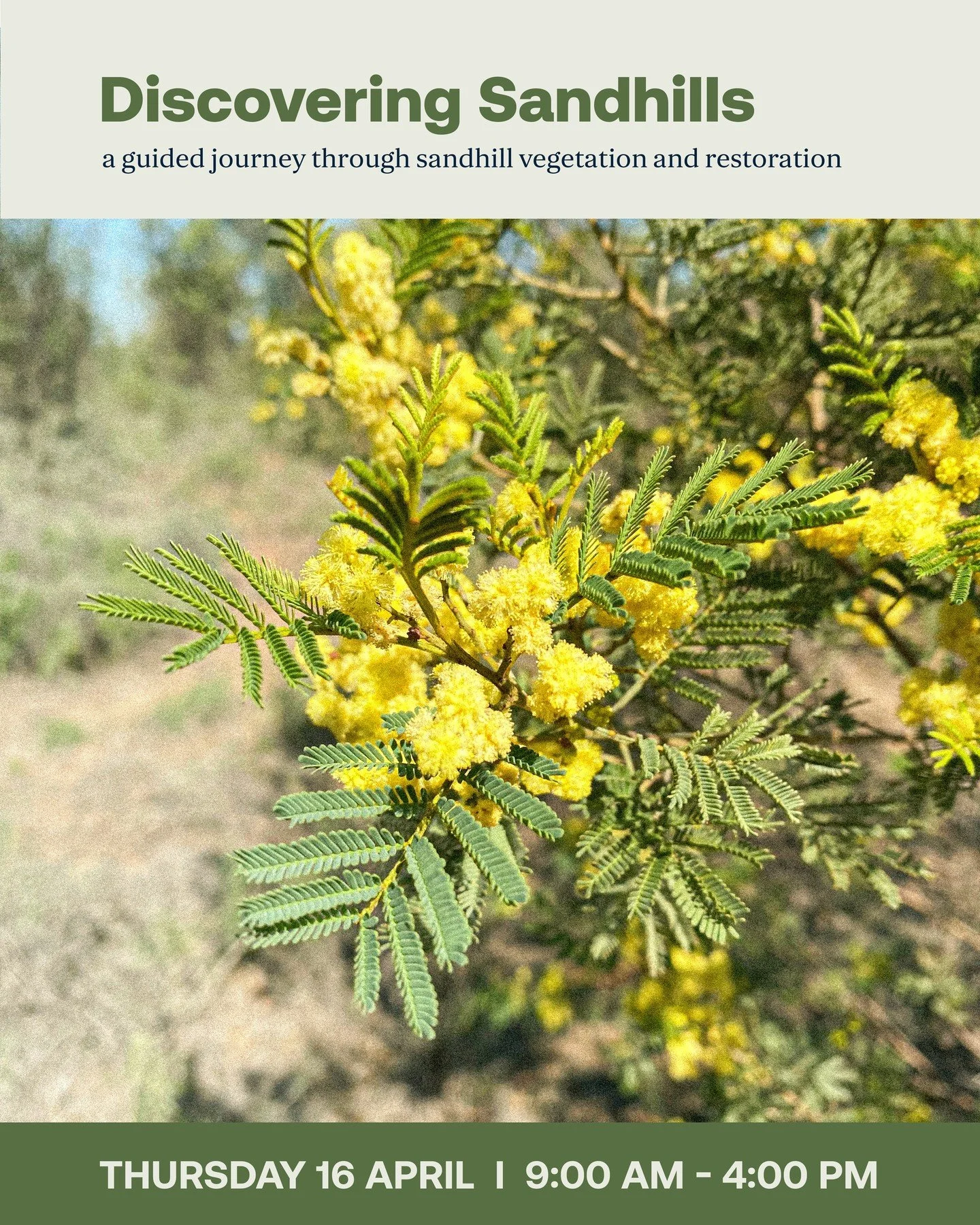 🌿 Free Landcare Tour &ndash; Book Now! 🌿

Interested in revegetation, native plants or local biodiversity? Come along to Discovering Sandhills, a guided woodlands tour with RGA Landcare.

Travel from Deniliquin to Wanganella and explore some of our