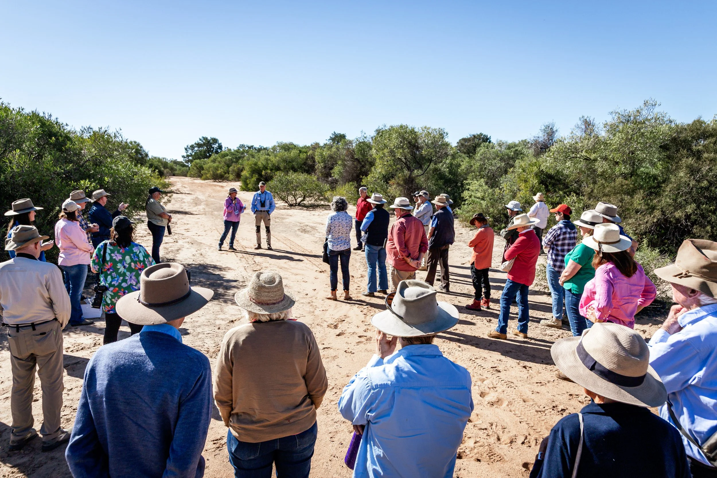 2026 Landcare Wanganella-2.jpg