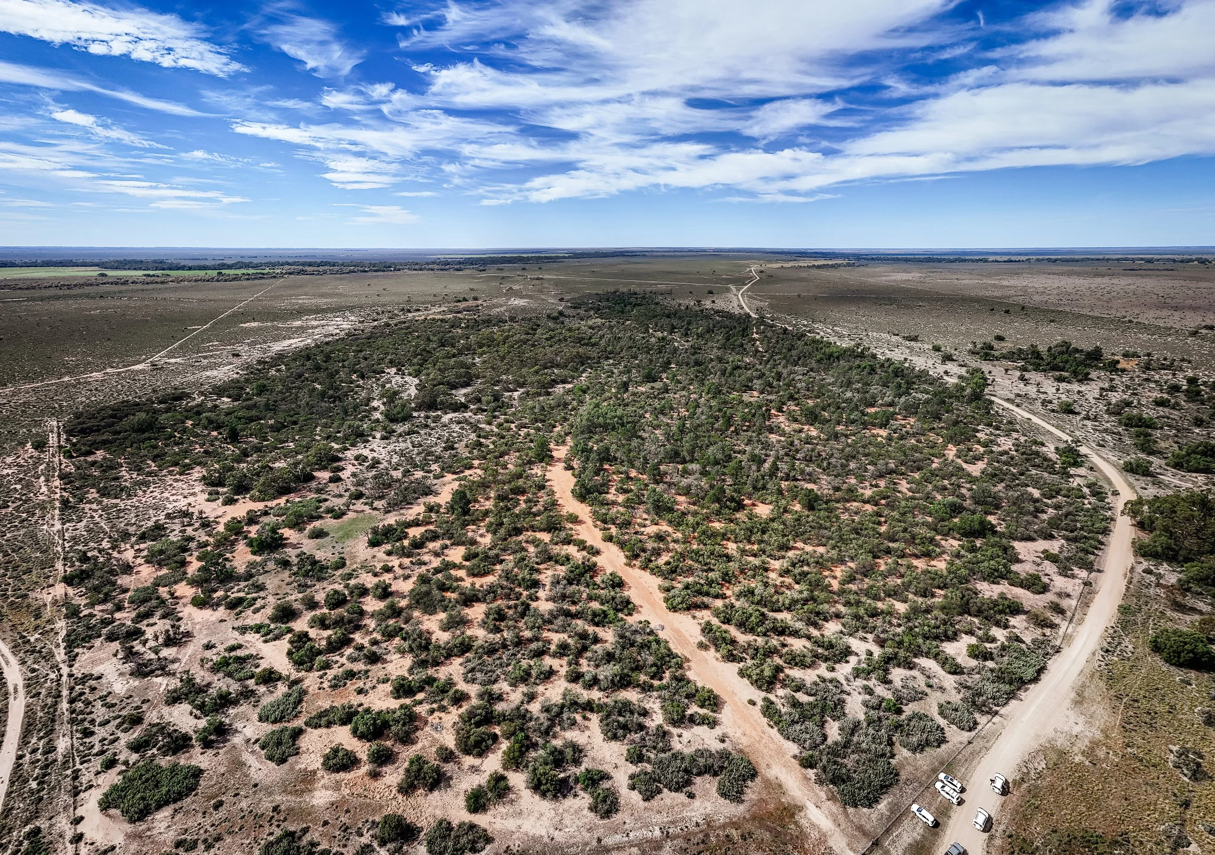 2026 Landcare Wanganella-22.jpg