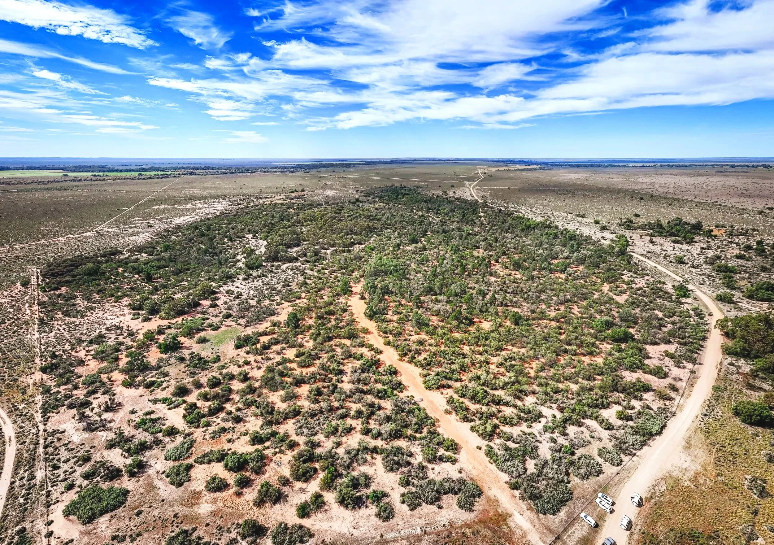 2026+Landcare+Wanganella-22+small.jpg