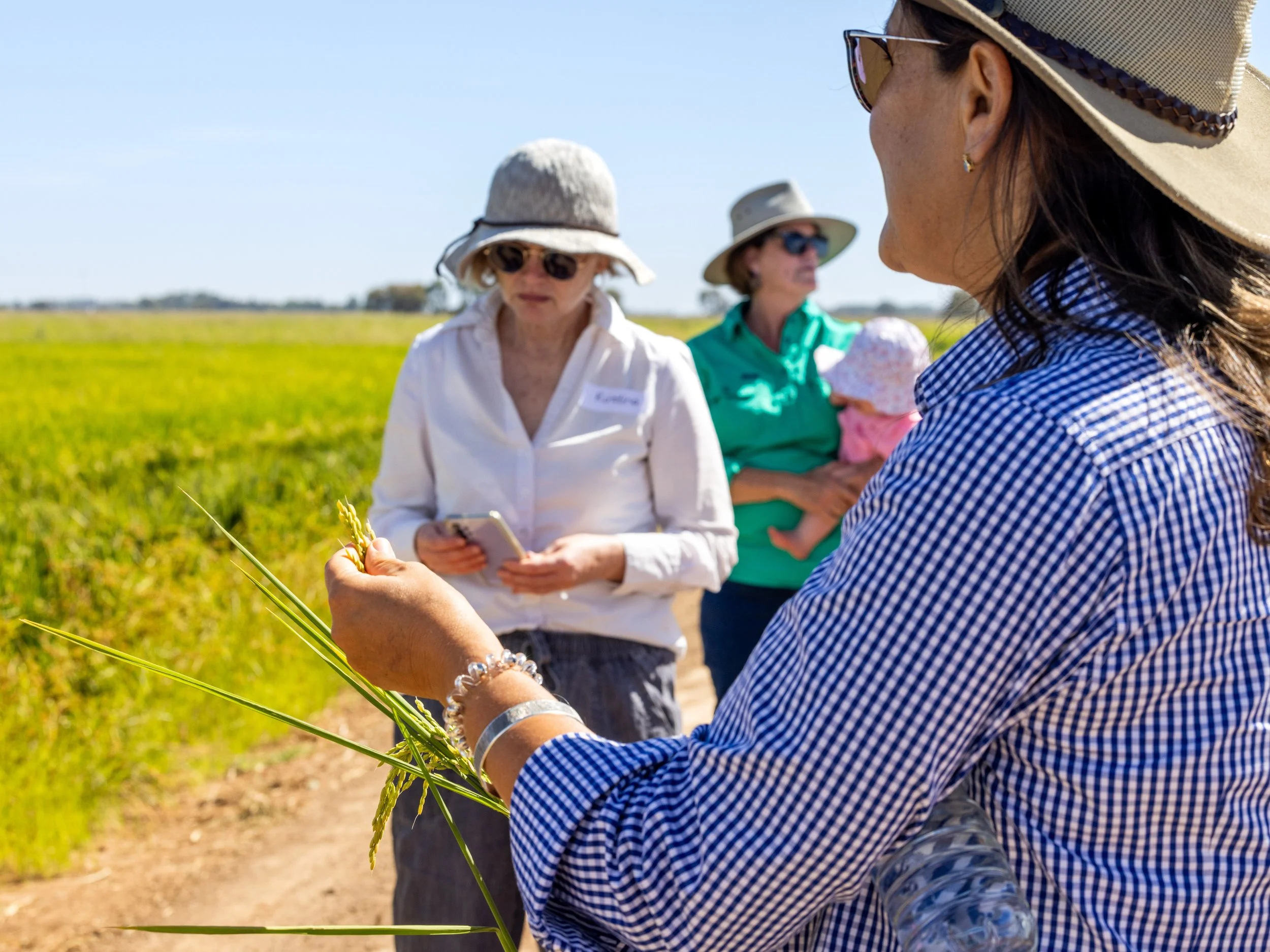 Four women in sun hats and sunglasses standing in a green field on a sunny day, one holding a bunch of grass, another reading her phone, and one holding a baby.