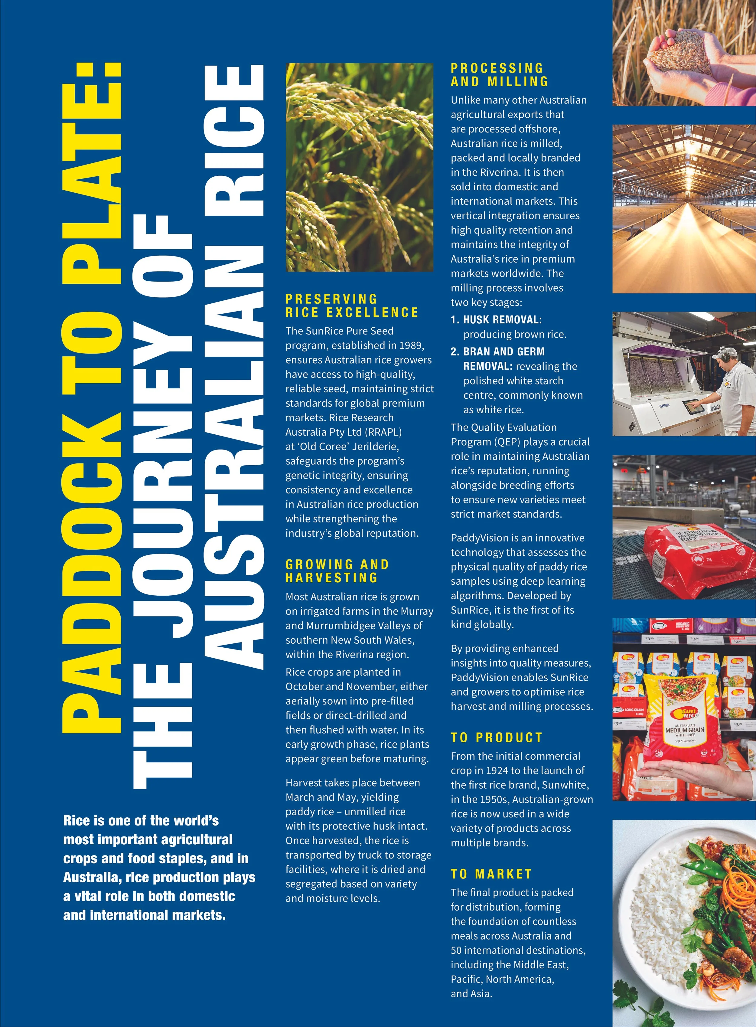 Infographic about Australian rice industry, including sections on processing and milling, preserving rice excellence, growing and harvesting rice, rice products, and markets, with accompanying images of rice fields, rice processing facility, rice grains, packaged rice products, and cooked rice dish.