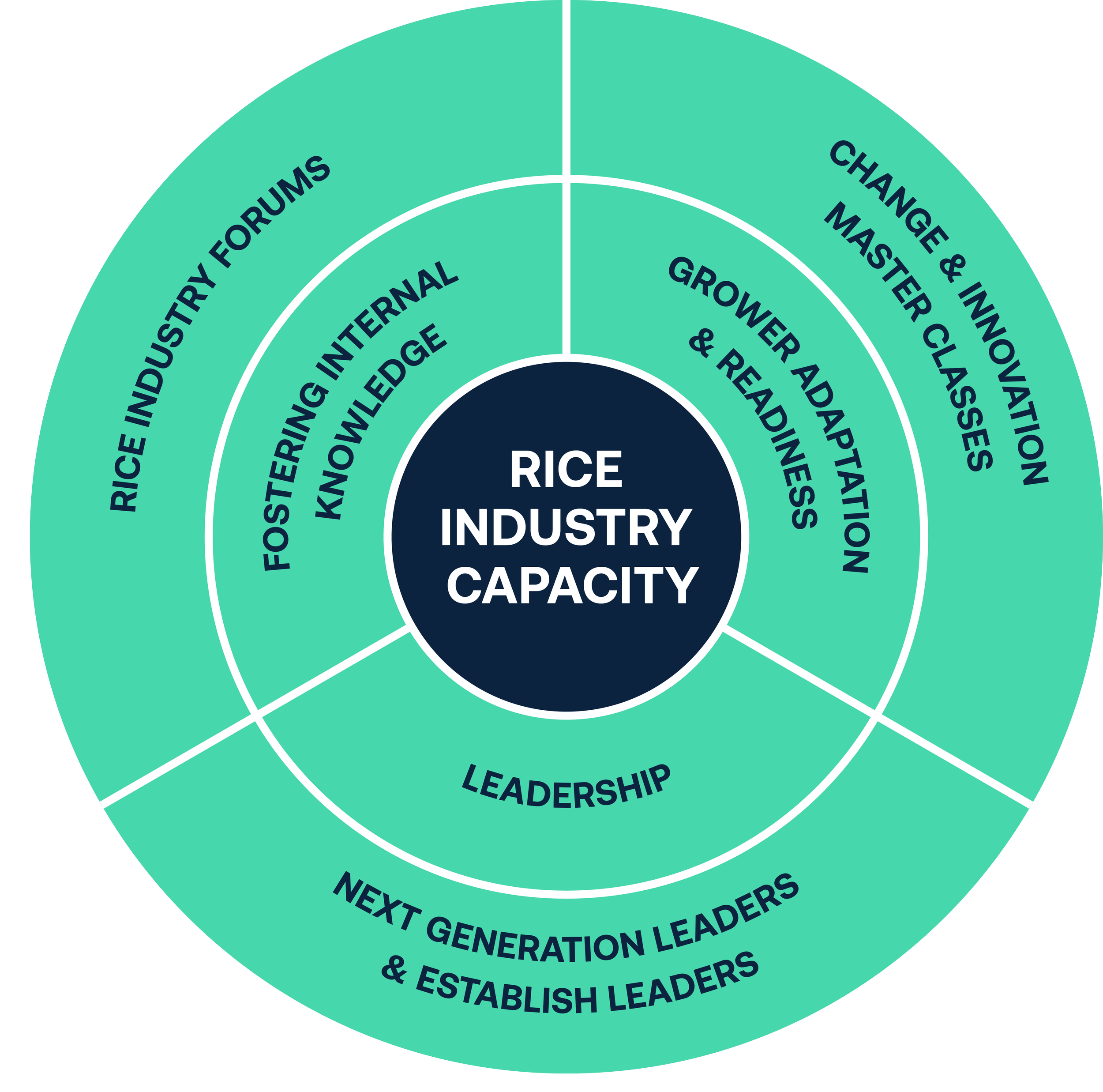 Diagram titled 'Rice Industry Capacity' showing inner circle with the text, 'Rice Industry Capacity,' surrounded by three rings of text: first ring, 'Fostering Internal Knowledge' and 'Leadership'; second ring, 'Change & Innovation Master Classes,' 'Grower Adaptation & Readiness'; third ring, 'Next Generation Leaders & Establish Leaders'; outer ring, 'Rice Industry Forums'.