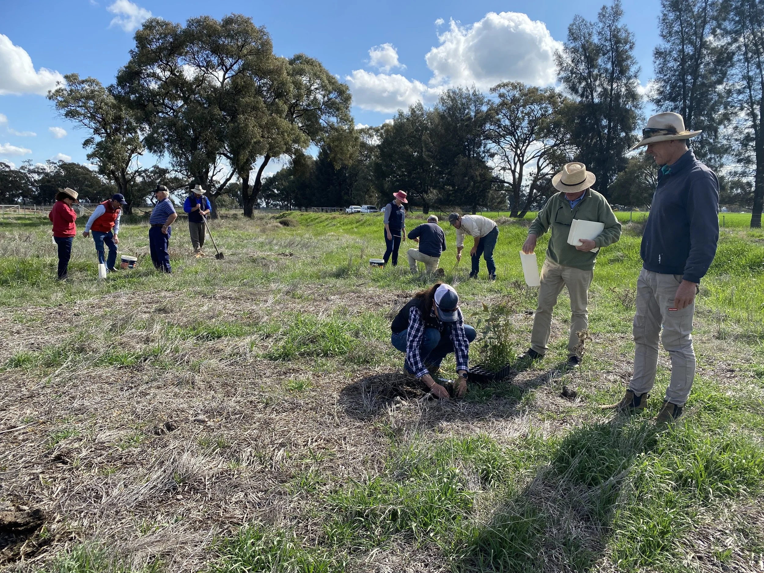 Landcare-Led Landscape Resilience Demonstration Sites