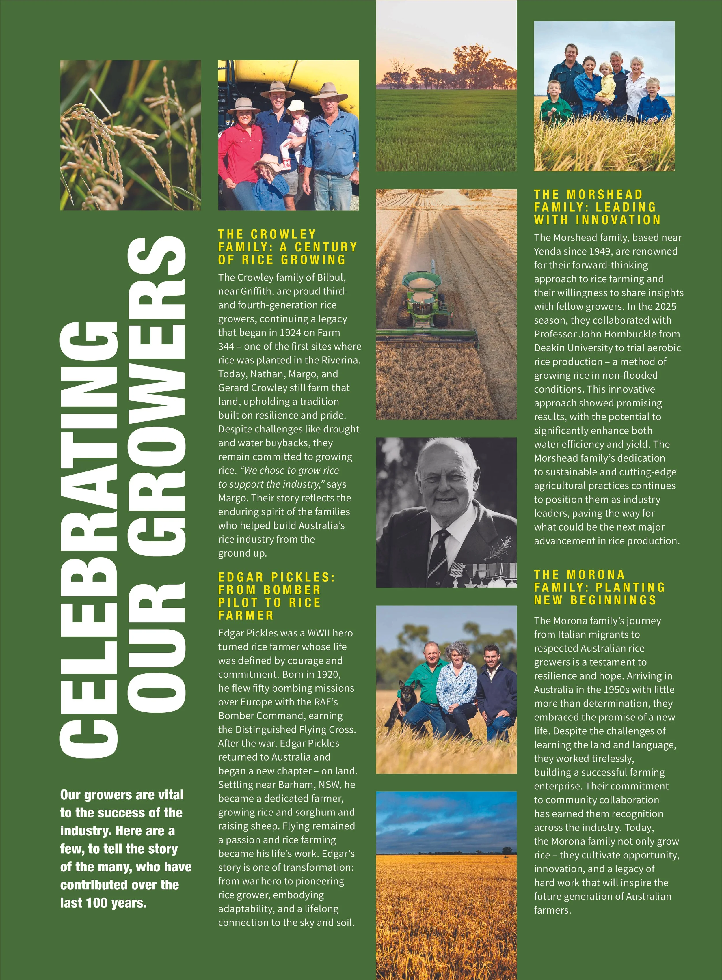 Newsletter featuring stories about families involved in rice farming, including the Crowley family, the Morshead family, Edgar Pickles, and the Morona family, with images of rice fields, families working, and farmland.