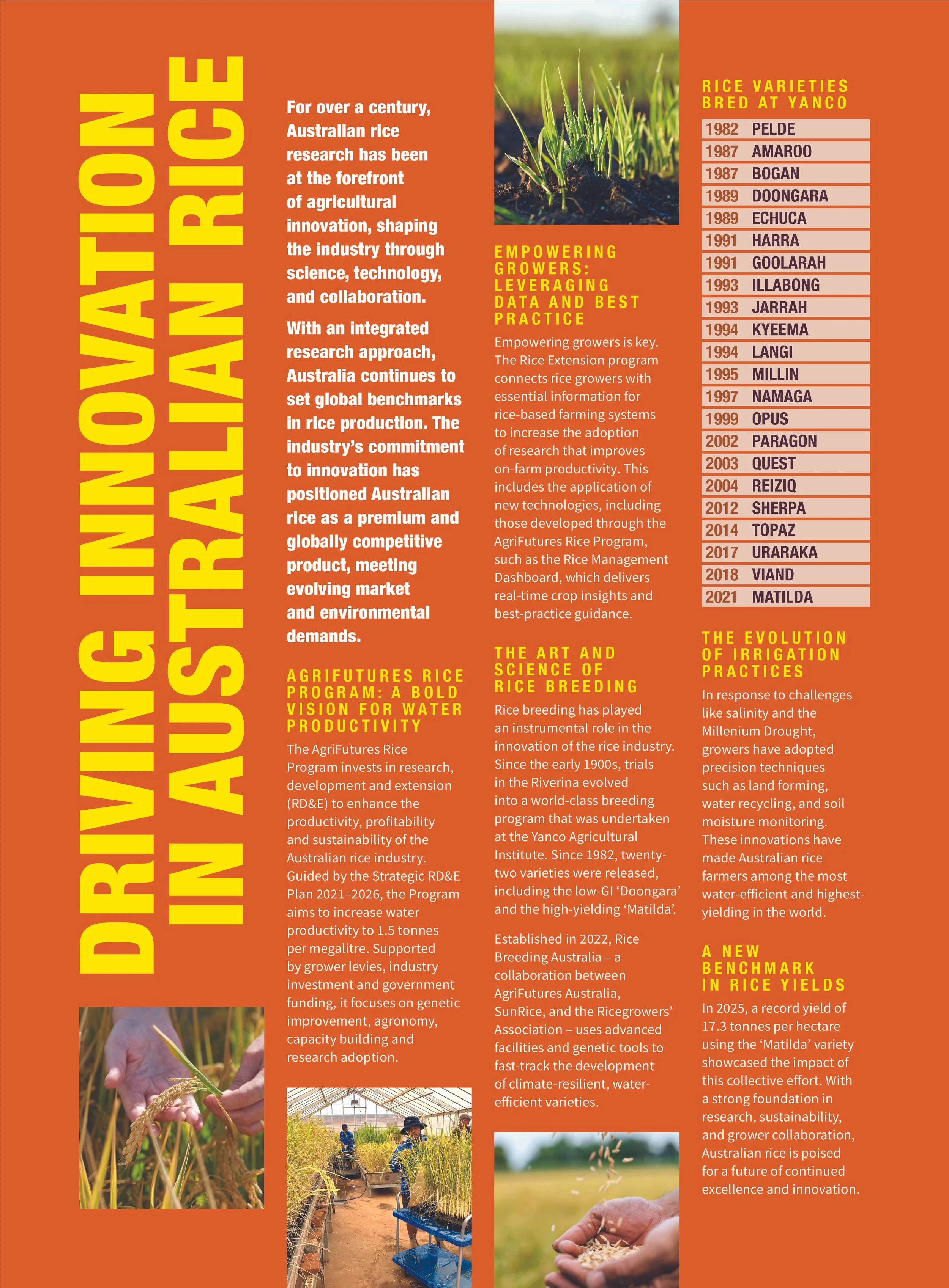 Infographic about Australian rice industry, featuring text on rice research, varieties, breeding, irrigation, and achievements with images of rice plants and research facilities.