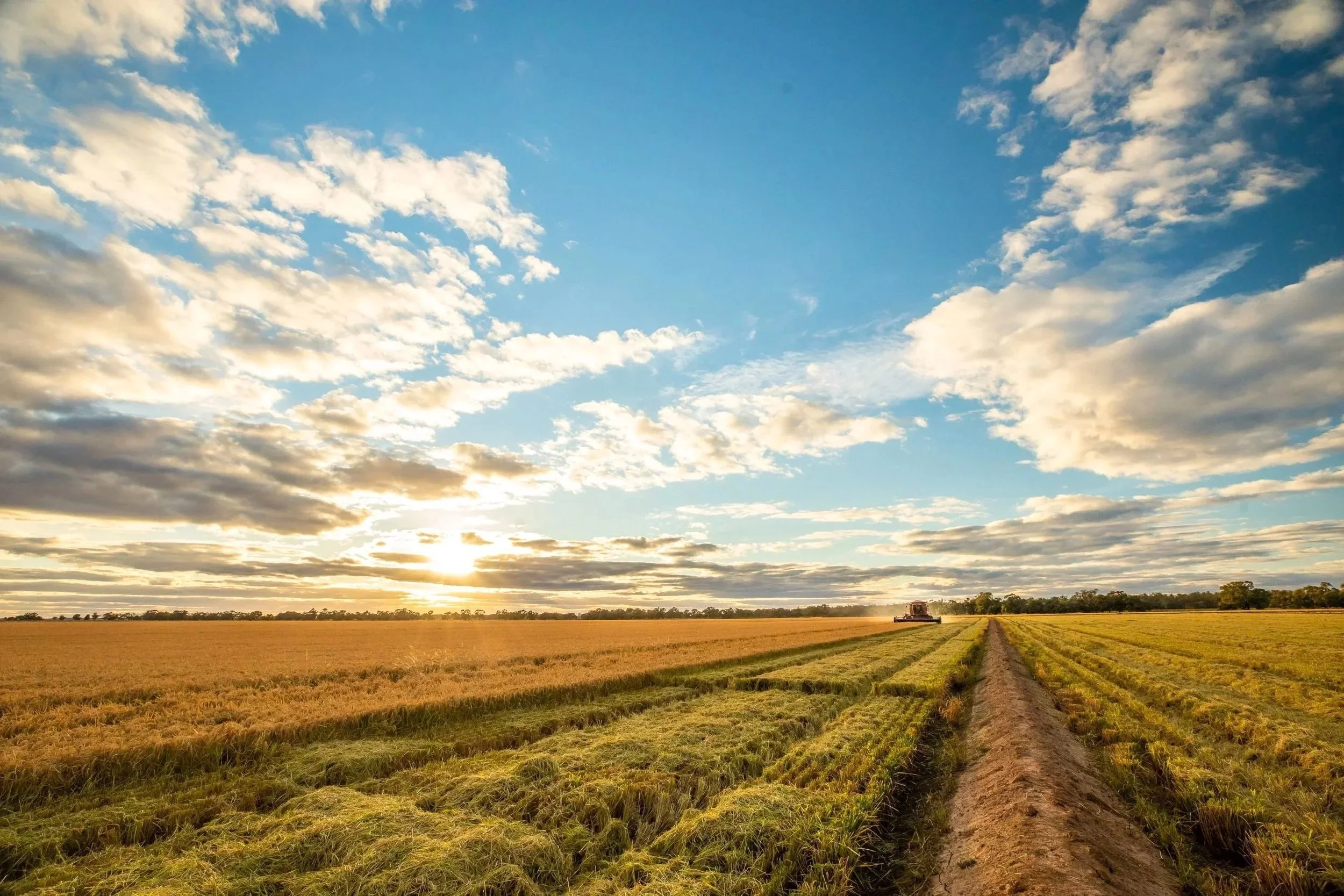 Sunset over a farm field with freshly harvested crops and a tractor in the distance under a partly cloudy sky.