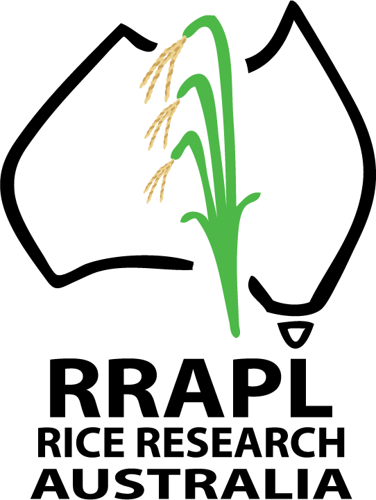 A simple illustration of a rice plant with green leaves and tan rice grains hanging from stalks.