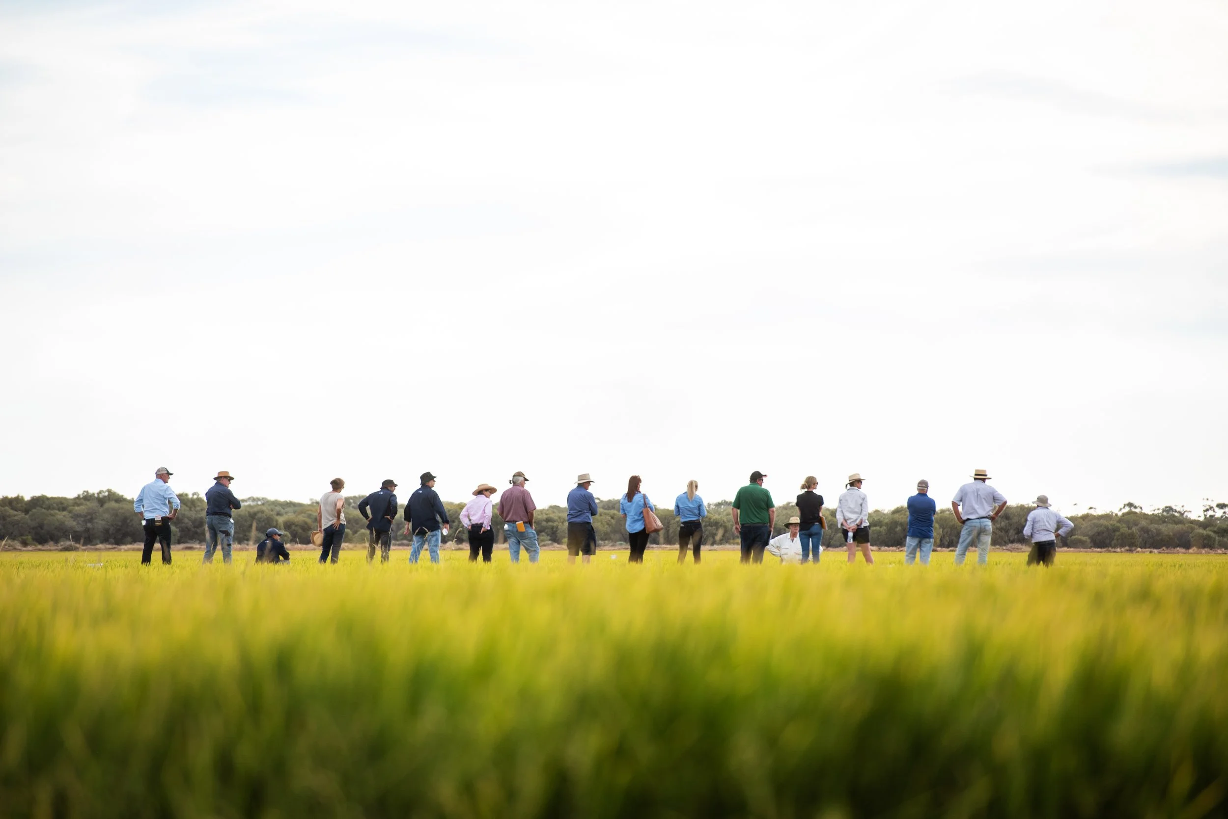 Group of people standing in a field facing away, wearing hats and casual clothing, under a partly cloudy sky.