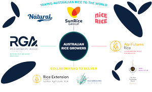 SunRice Group | Discover Quality Rice Products - Join Us Today ...