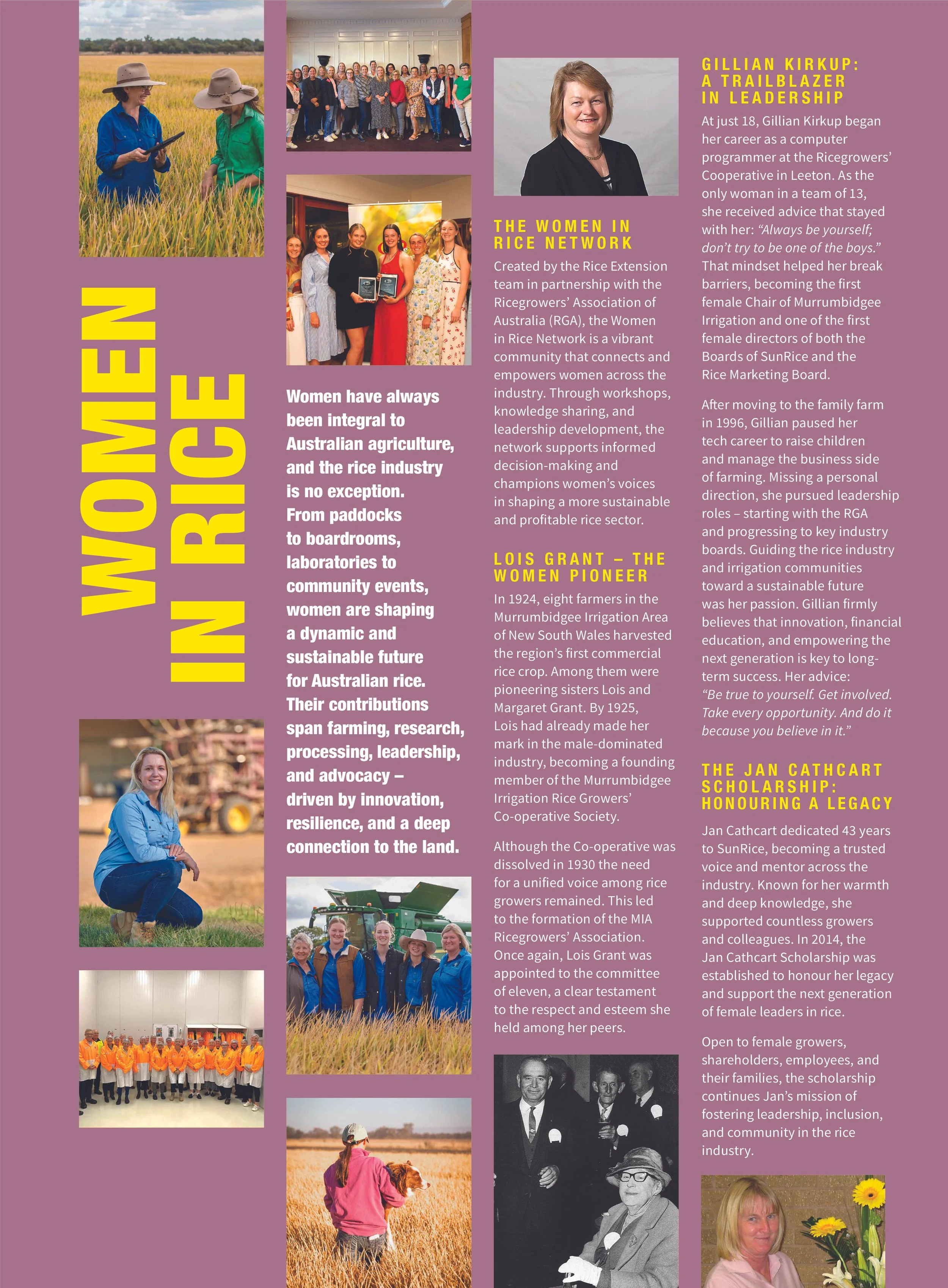 A collage of images and text on a purple background highlighting women in the rice industry, featuring women working in fields, group photos, and portraits, along with captions about their contributions and leadership.