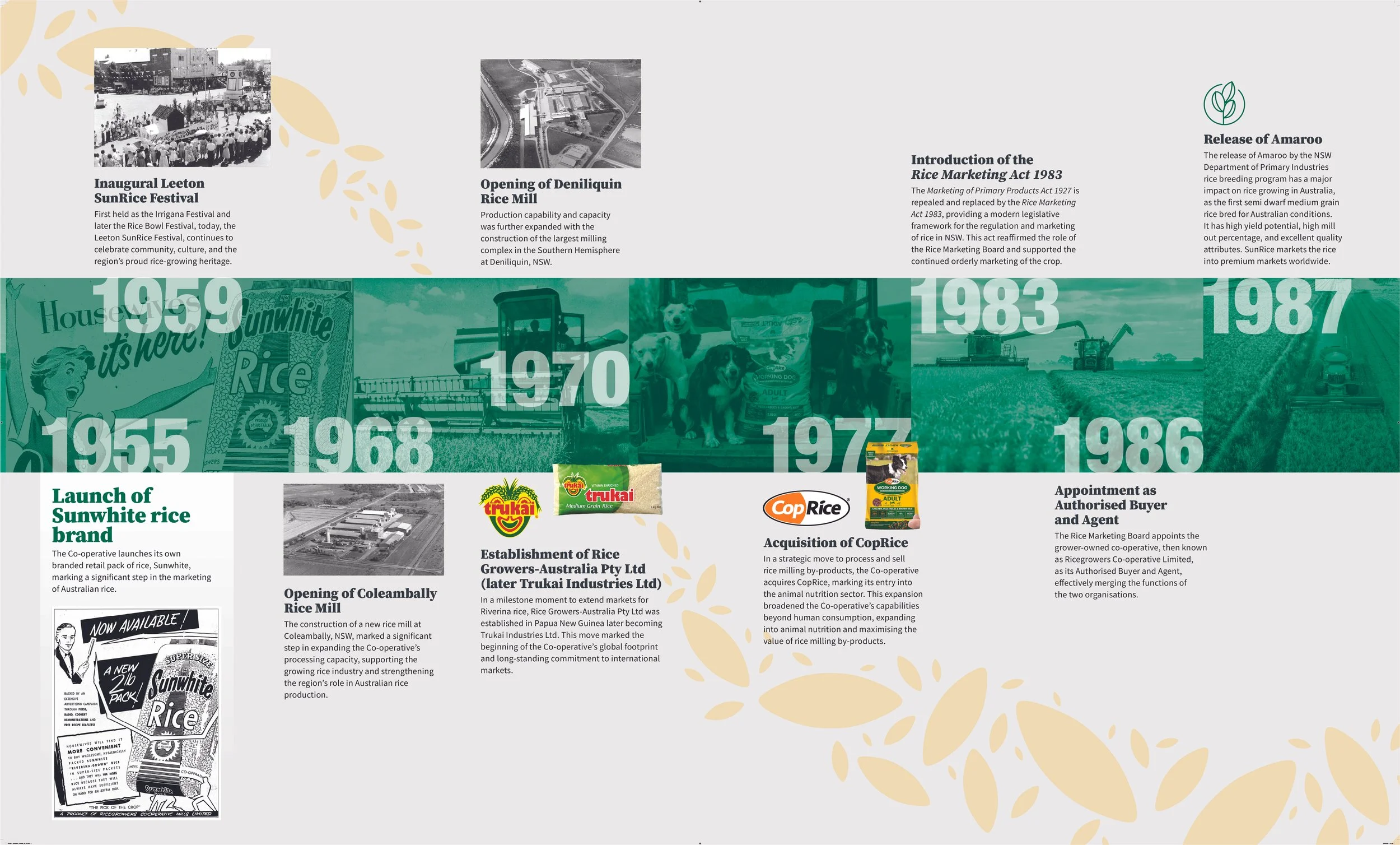 An informational infographic timeline about the history of Sunwhite rice, featuring black-and-white photos of early events, a green background with dated milestones from 1955 to 1987, and logos of rice brands, with text detailing the company's development and milestones in rice production in Australia.