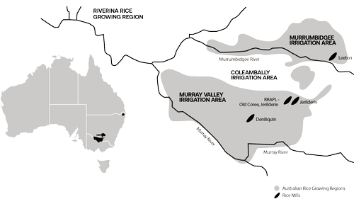 Where is Rice Grown? | Explore Rice Growing Locations Today ...