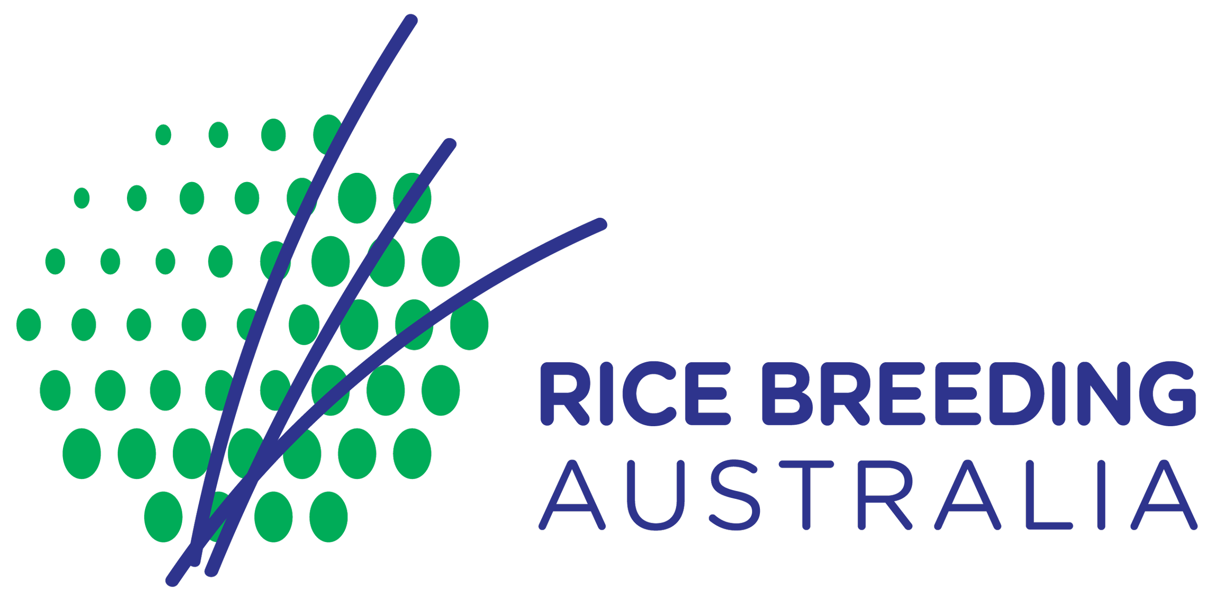 Logo for Rice Breeding Australia, featuring a stylized green rice plant with dark blue lines and text.