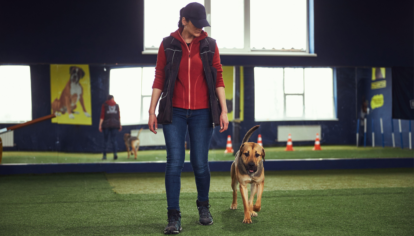 Onboarding Training Program