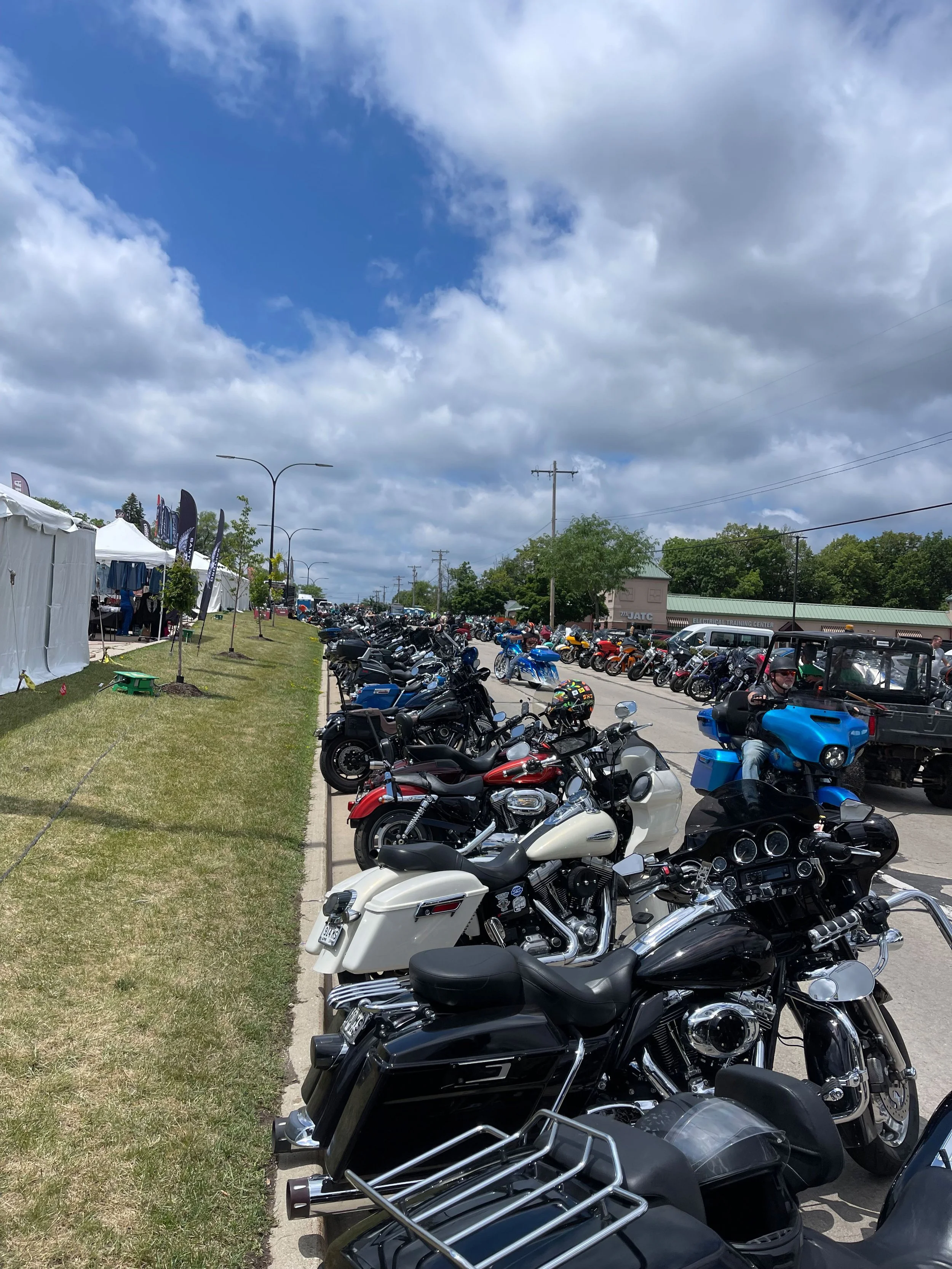 A long line of motorcycles parked along a street.