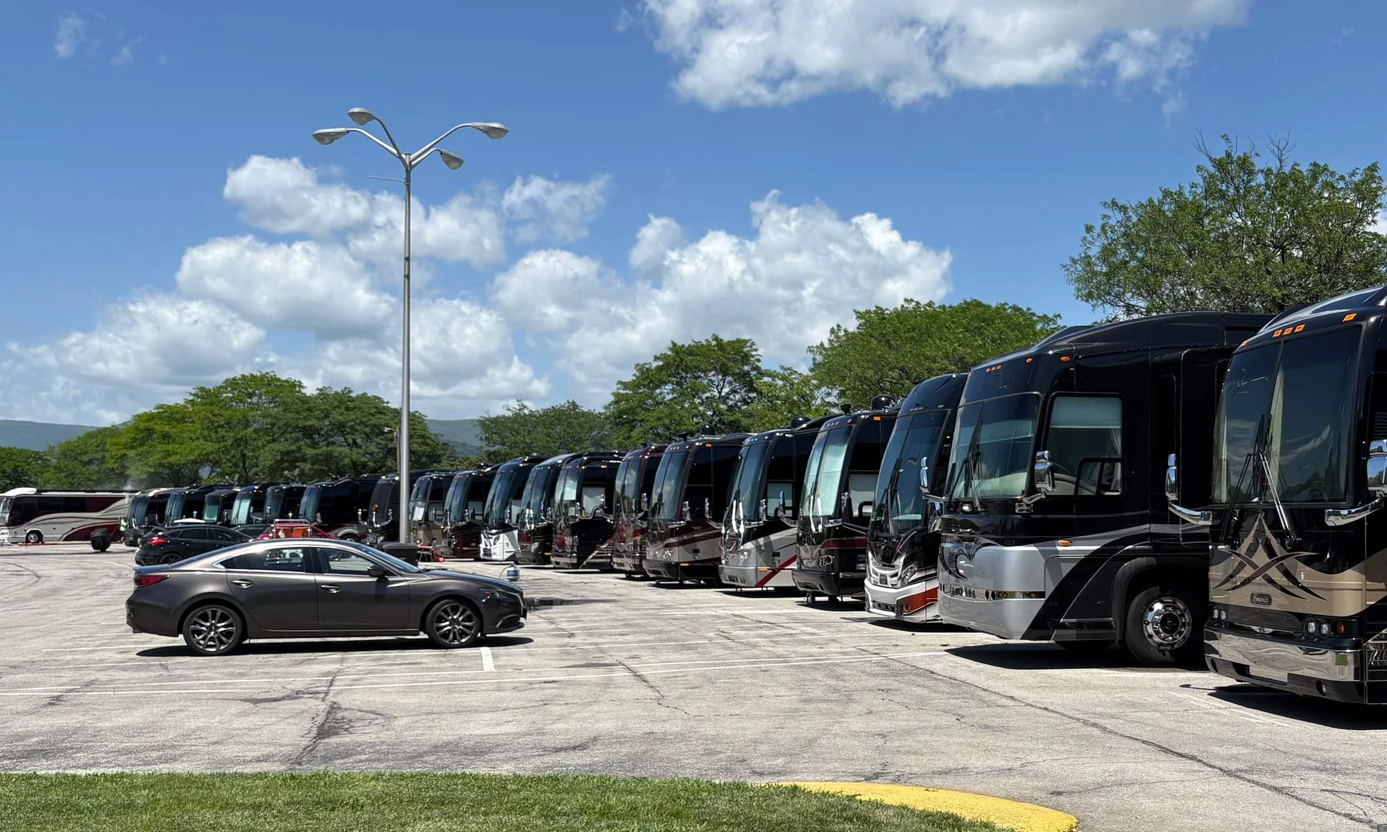 A long line of large, black luxury motorcoaches parked neatly in a paved lot.