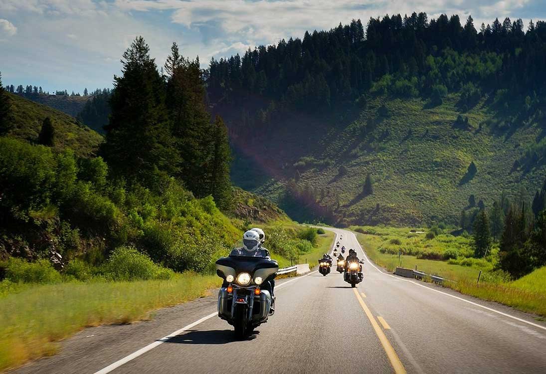 A group of motorcycles riding down a mountain road surrounded by green trees.