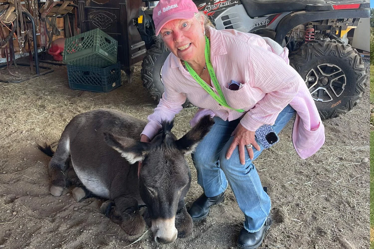 BNB Morning Horseback Ride had a Baby Donkey!