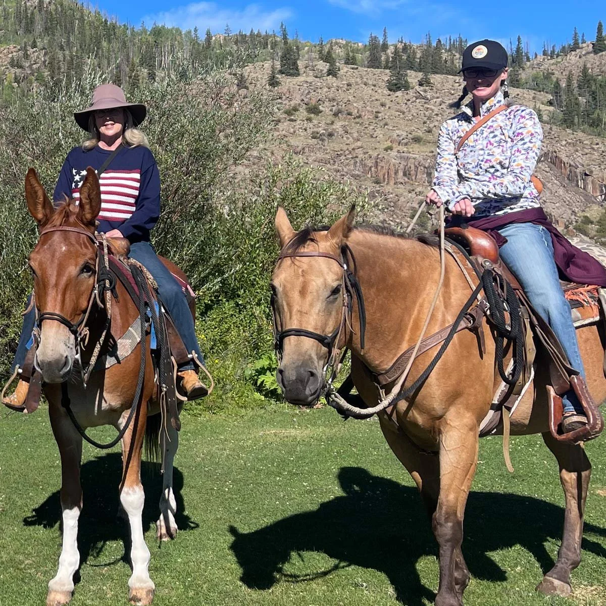 horseback01.jpg