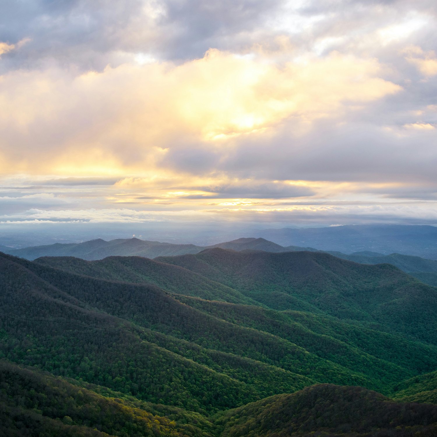The Blue Ridge Mountains at sunrise.