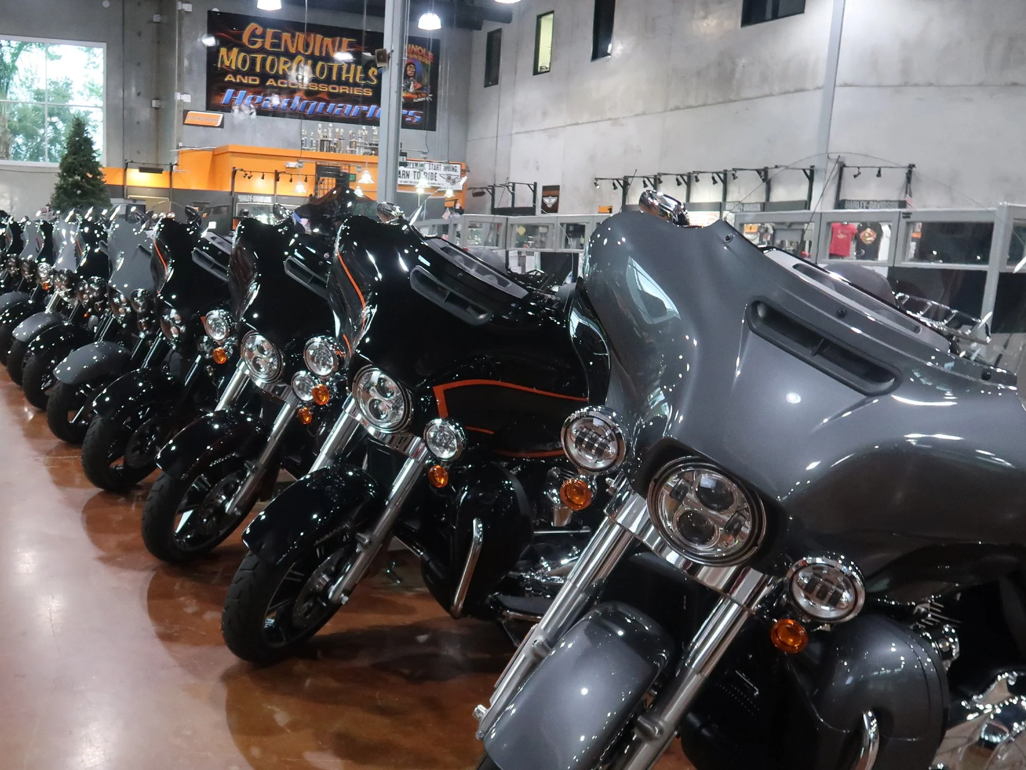 Row of new Harley-Davidson motorcycles inside dealership showroom.