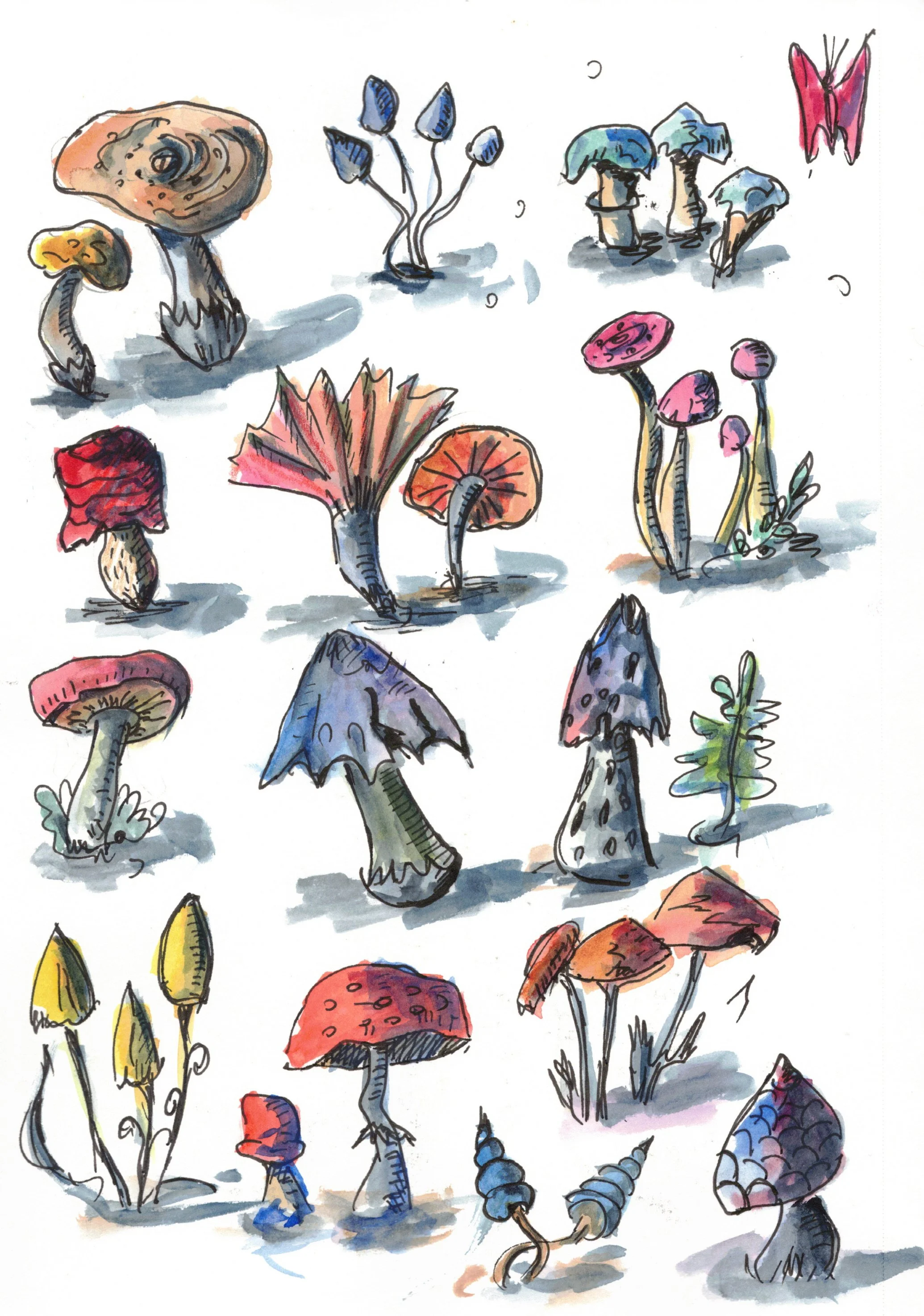 Some Mushrooms