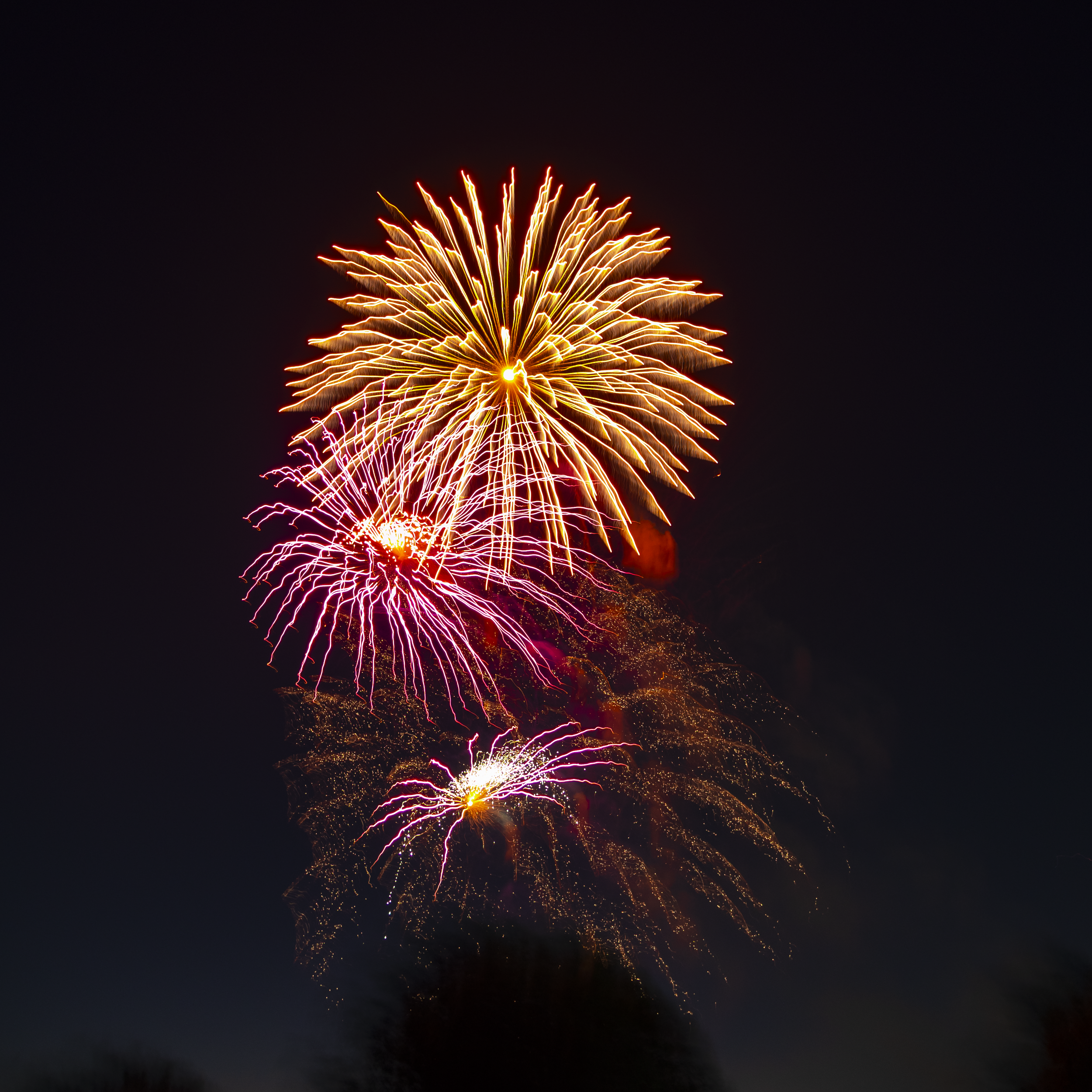 Papio Days Fireworks-22.png