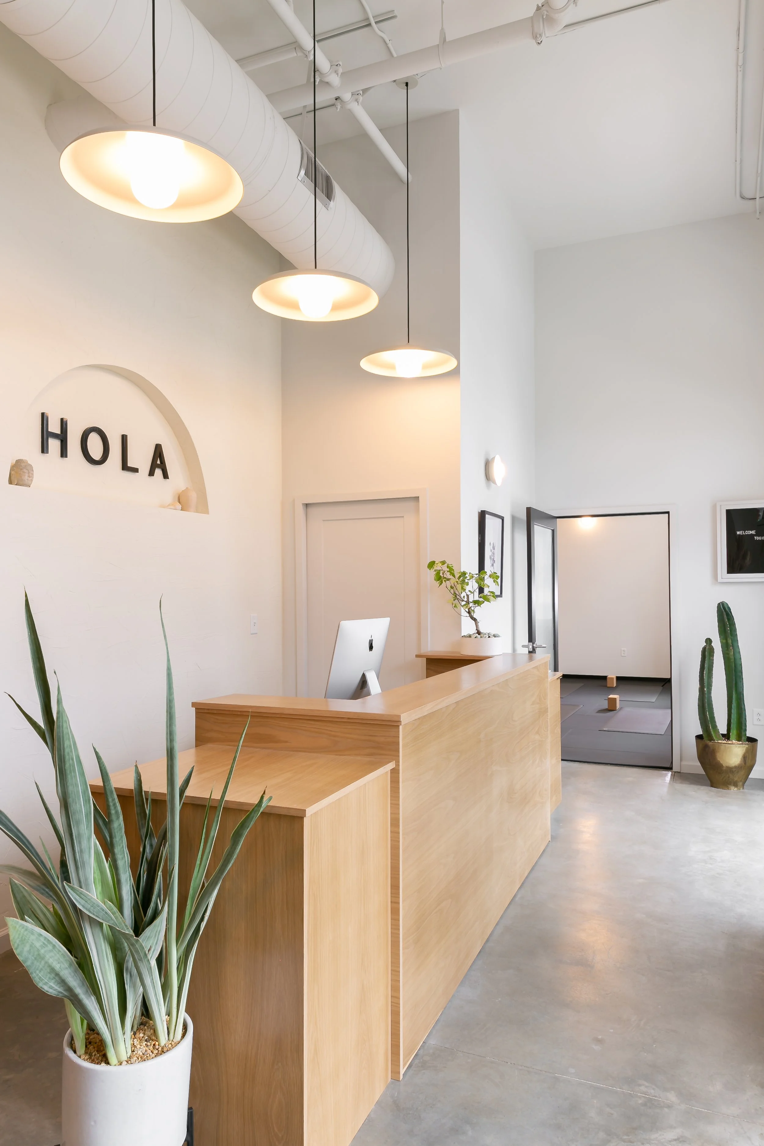 Modern reception area with a light wood desk, potted plants, white walls, and hanging ceiling lights, with the word 'HOLA' on the wall.