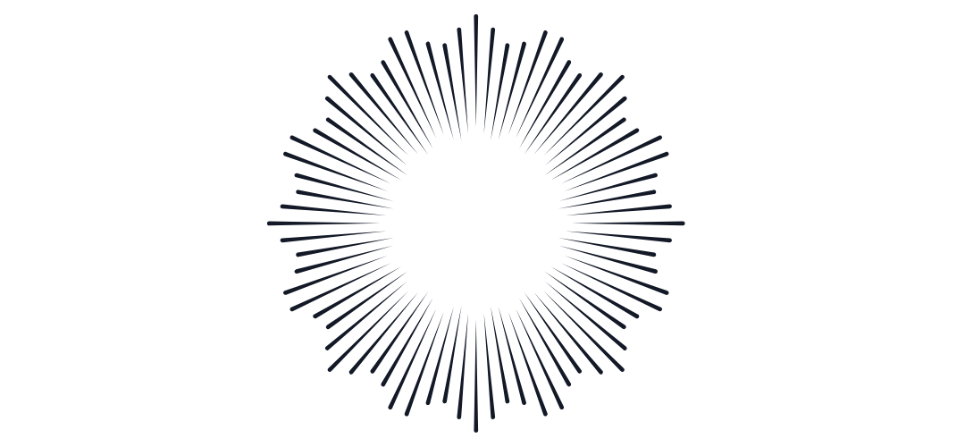 A black circular burst pattern with evenly spaced radiating lines on a transparent background.