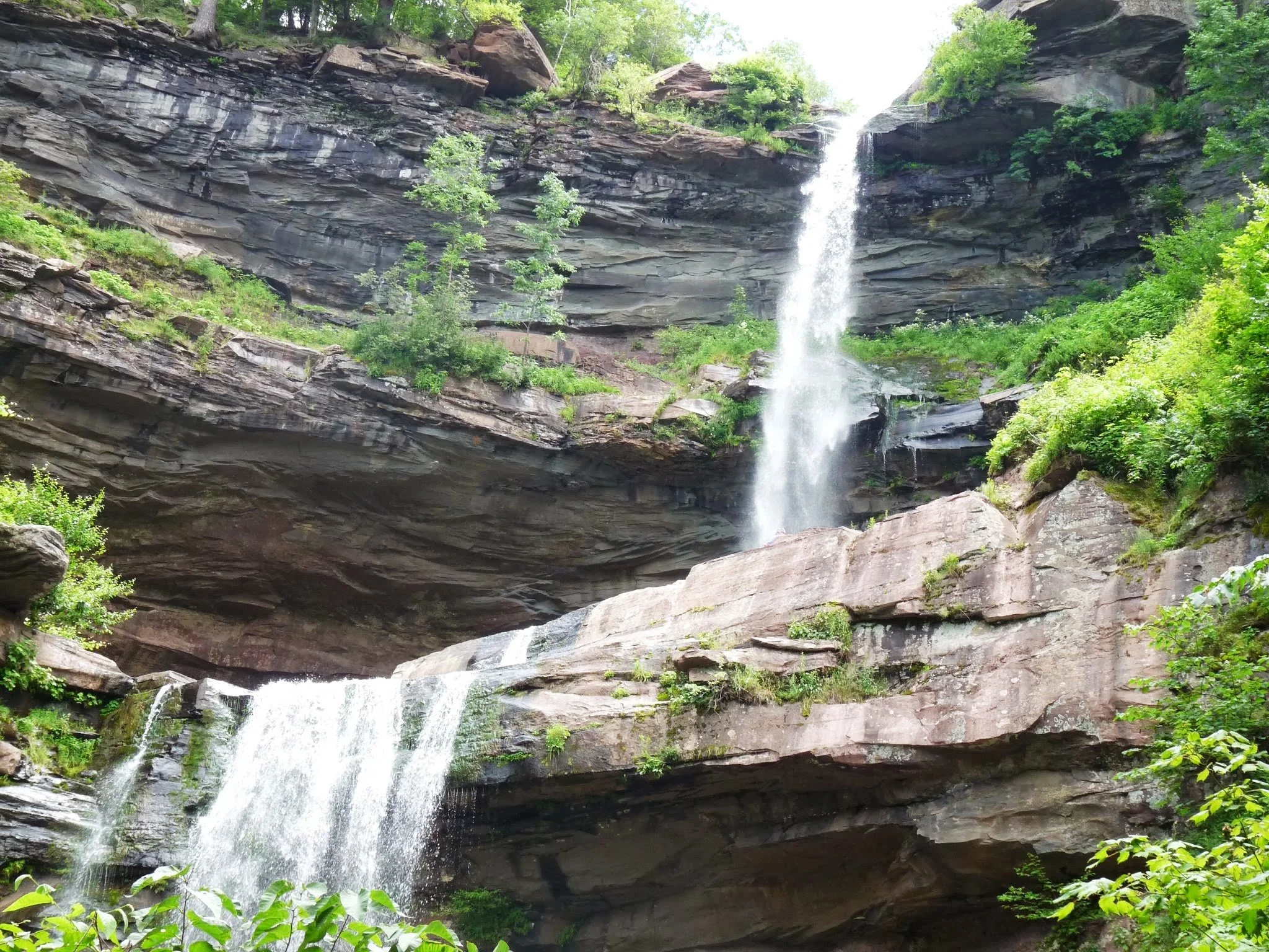 Waterfall cascading down multiple rocks surrounded by lush green trees and foliage in a forest