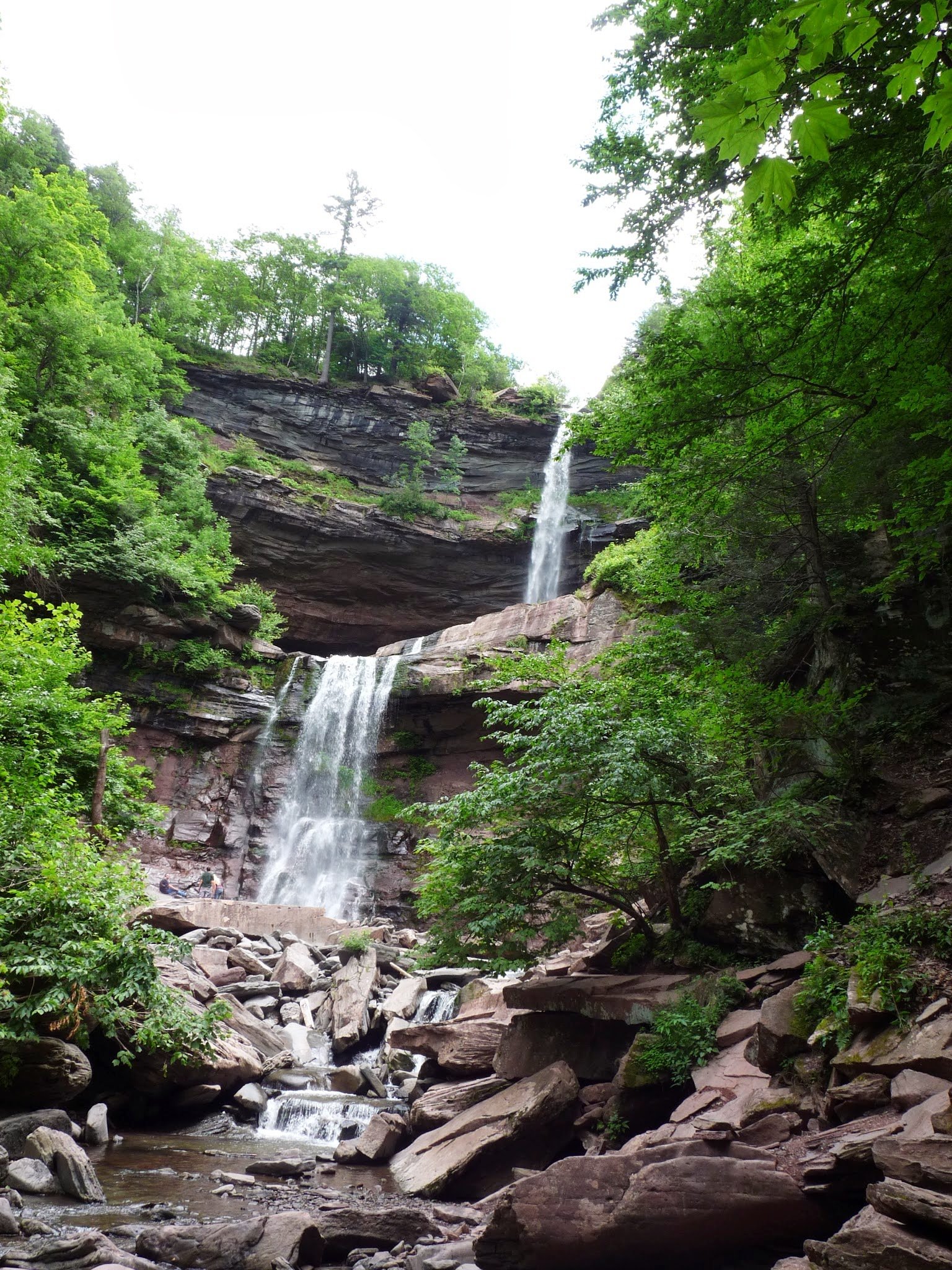 A scenic view of a waterfall flowing over rocky cliffs surrounded by lush green trees in a forest.