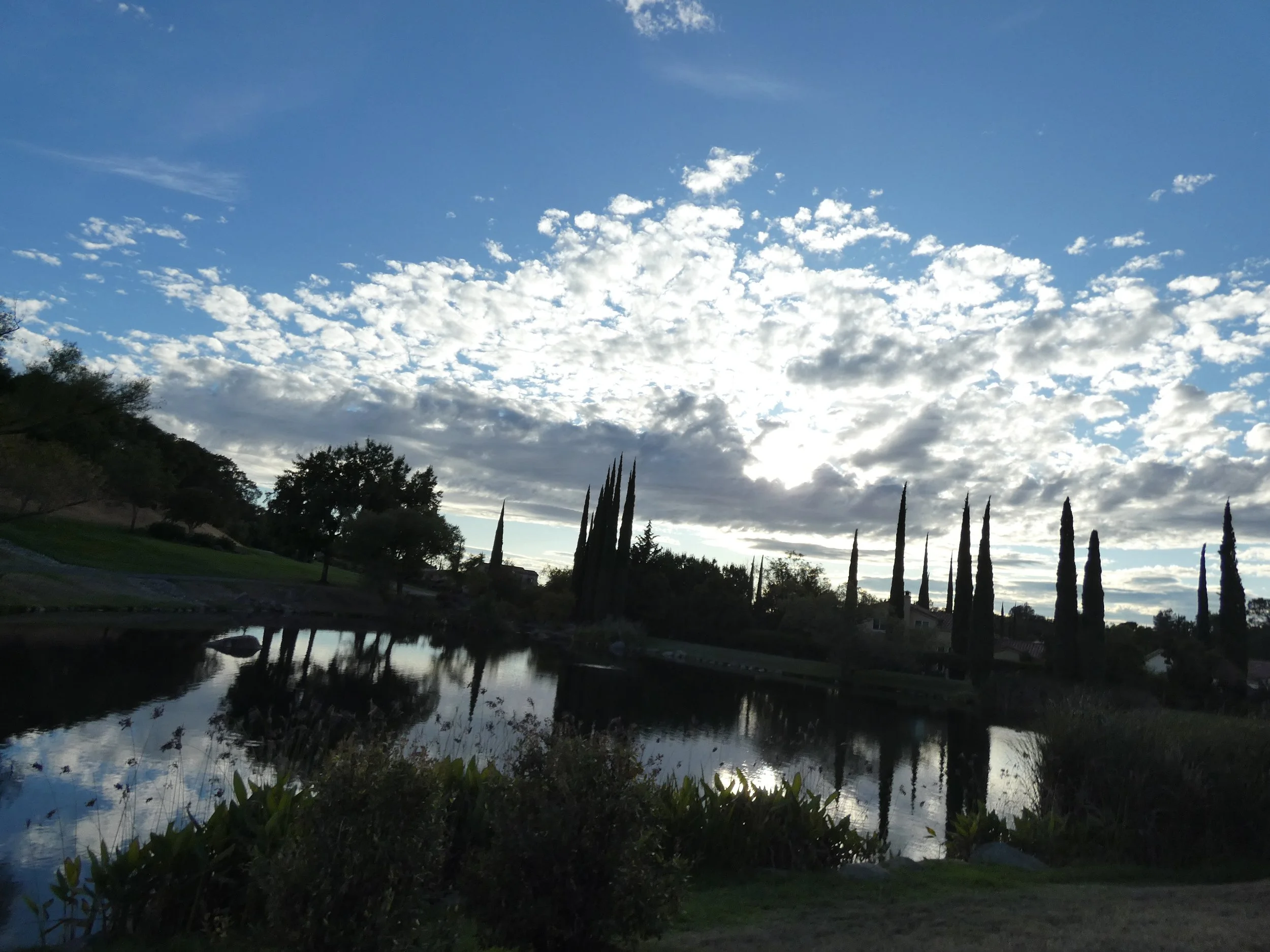 A peaceful scene of a small lake with trees and tall, thin cypress trees along the shore, reflected in the water under a partly cloudy sky.