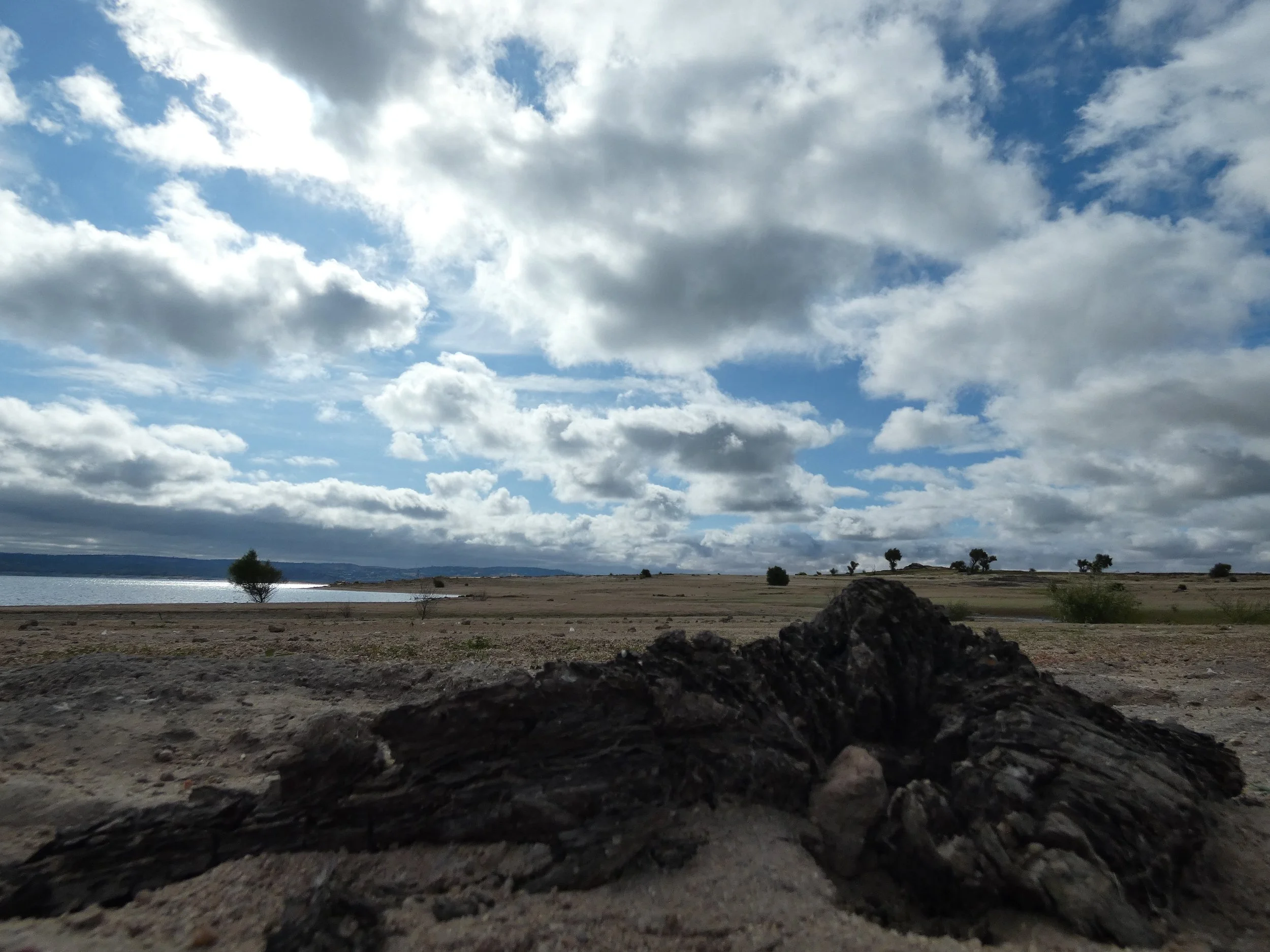 Cloudy sky over a lakeside with a few scattered trees and rocks in the foreground.