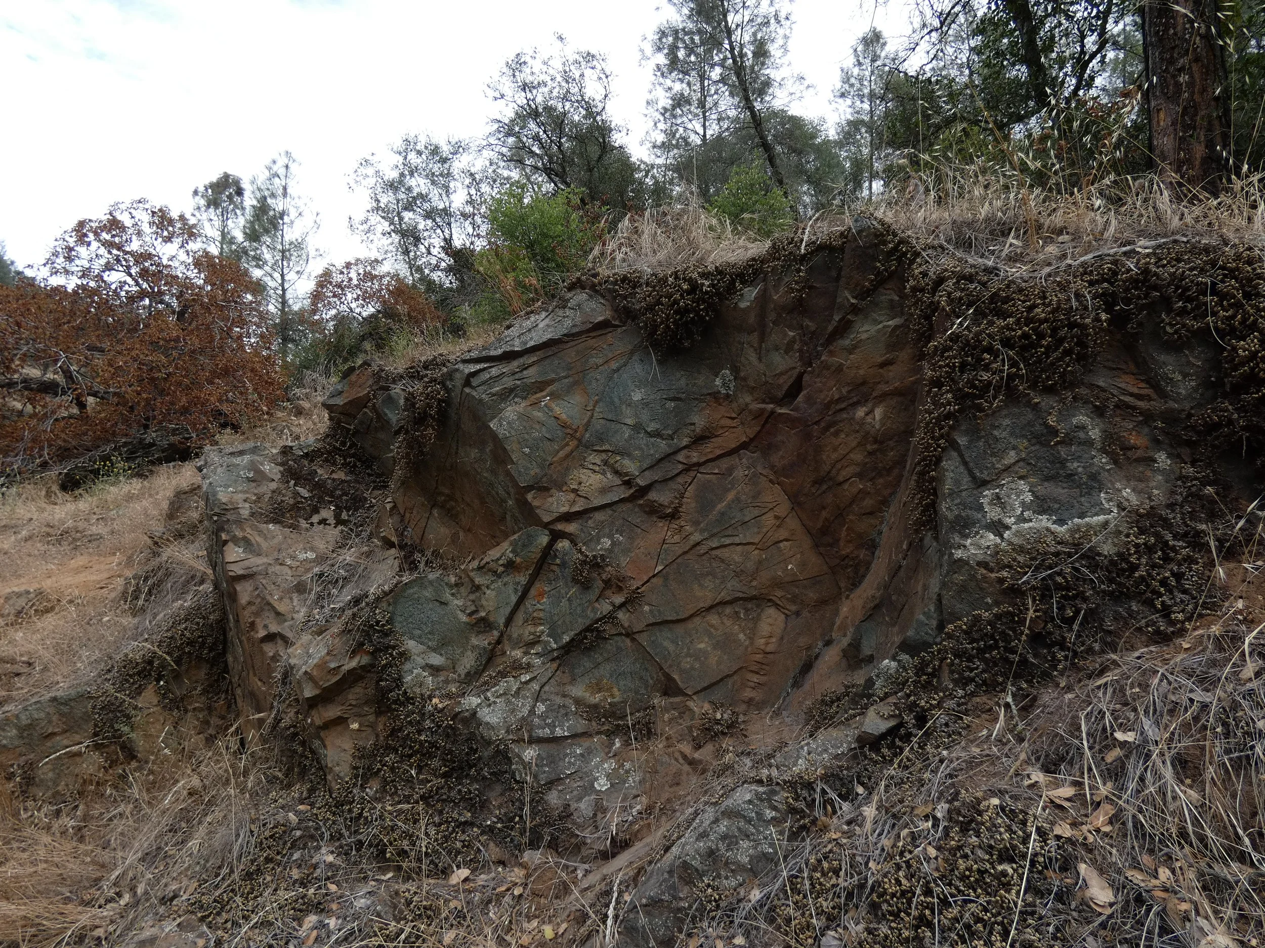 Kings of Queen and Hidden Falls (157).JPG