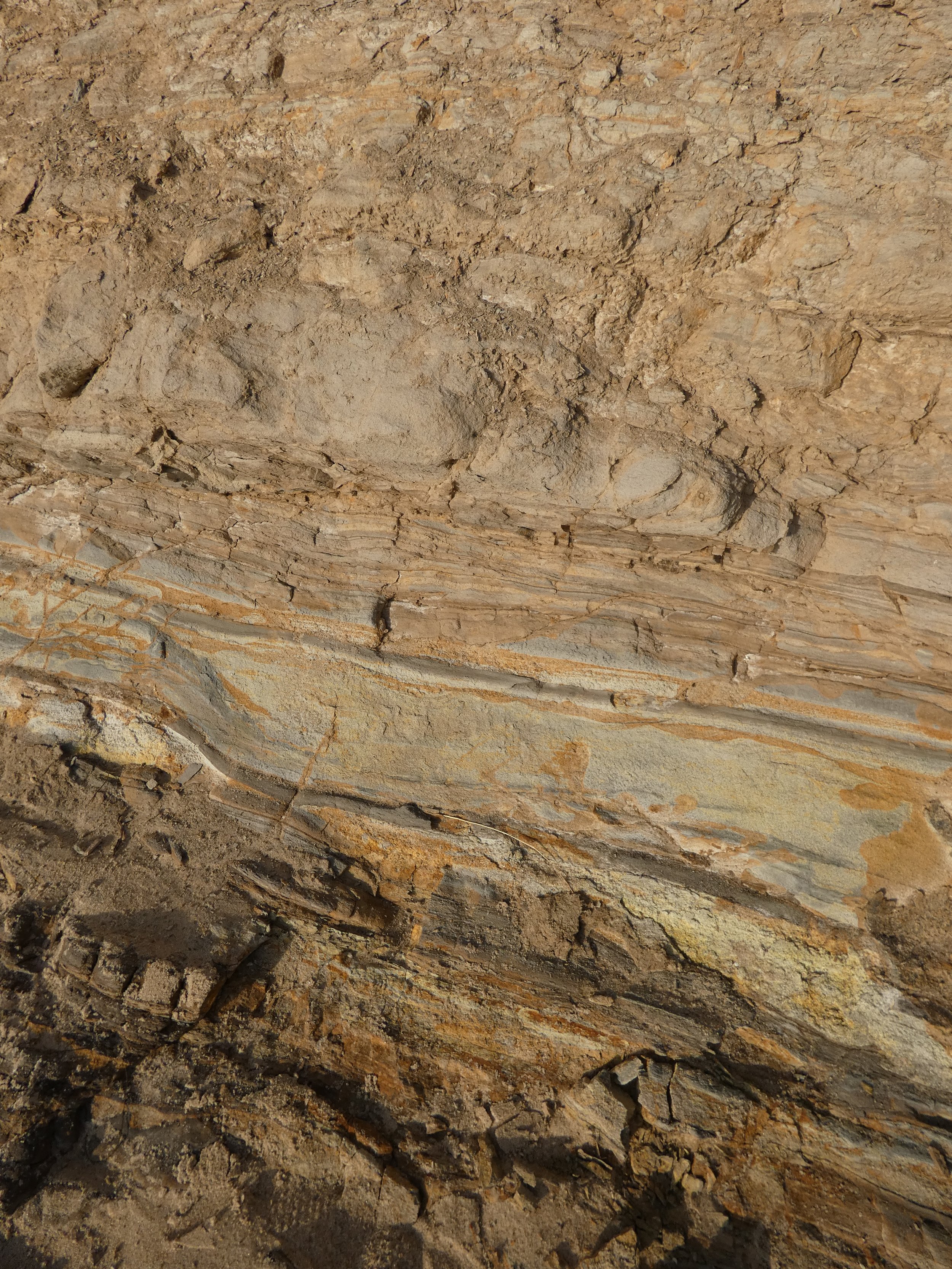 Close-up of rocky, uneven dirt surface with various stones and soil.
