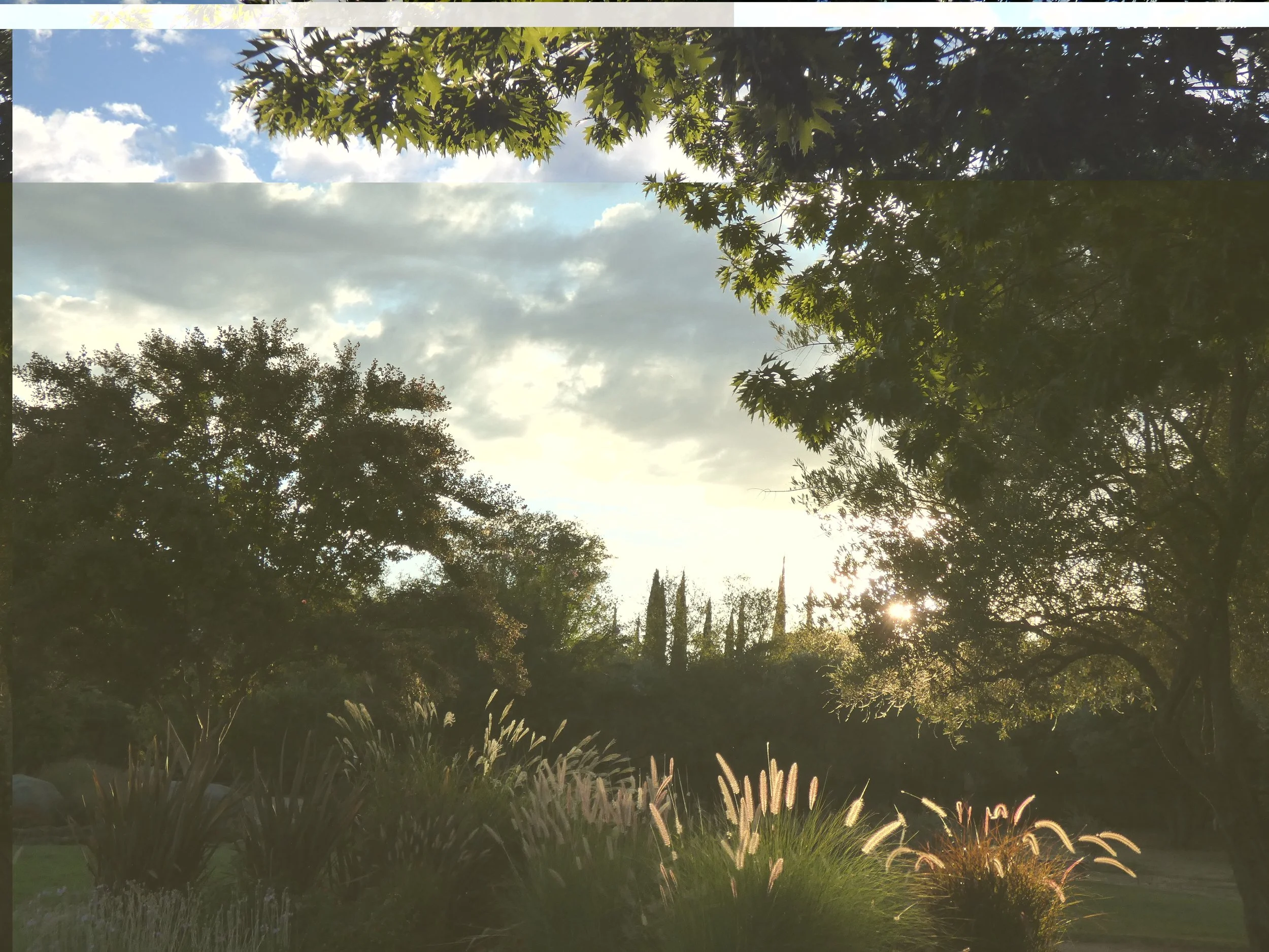 A scenic view of trees and bushes with the sun setting in the background, partially obscured by foliage, and the sky filled with clouds.