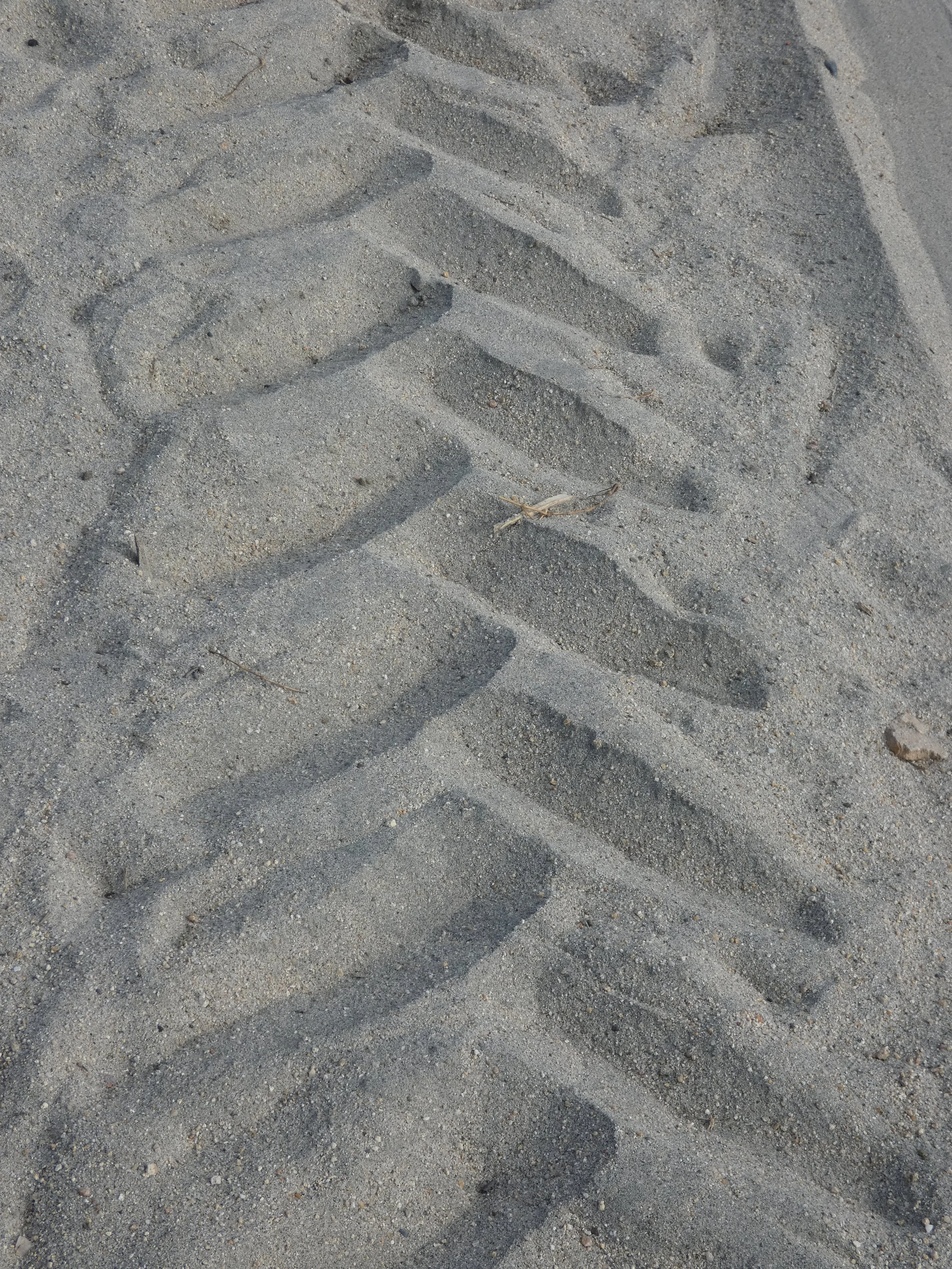 A fresh tire track impression on sand or dirt surface.