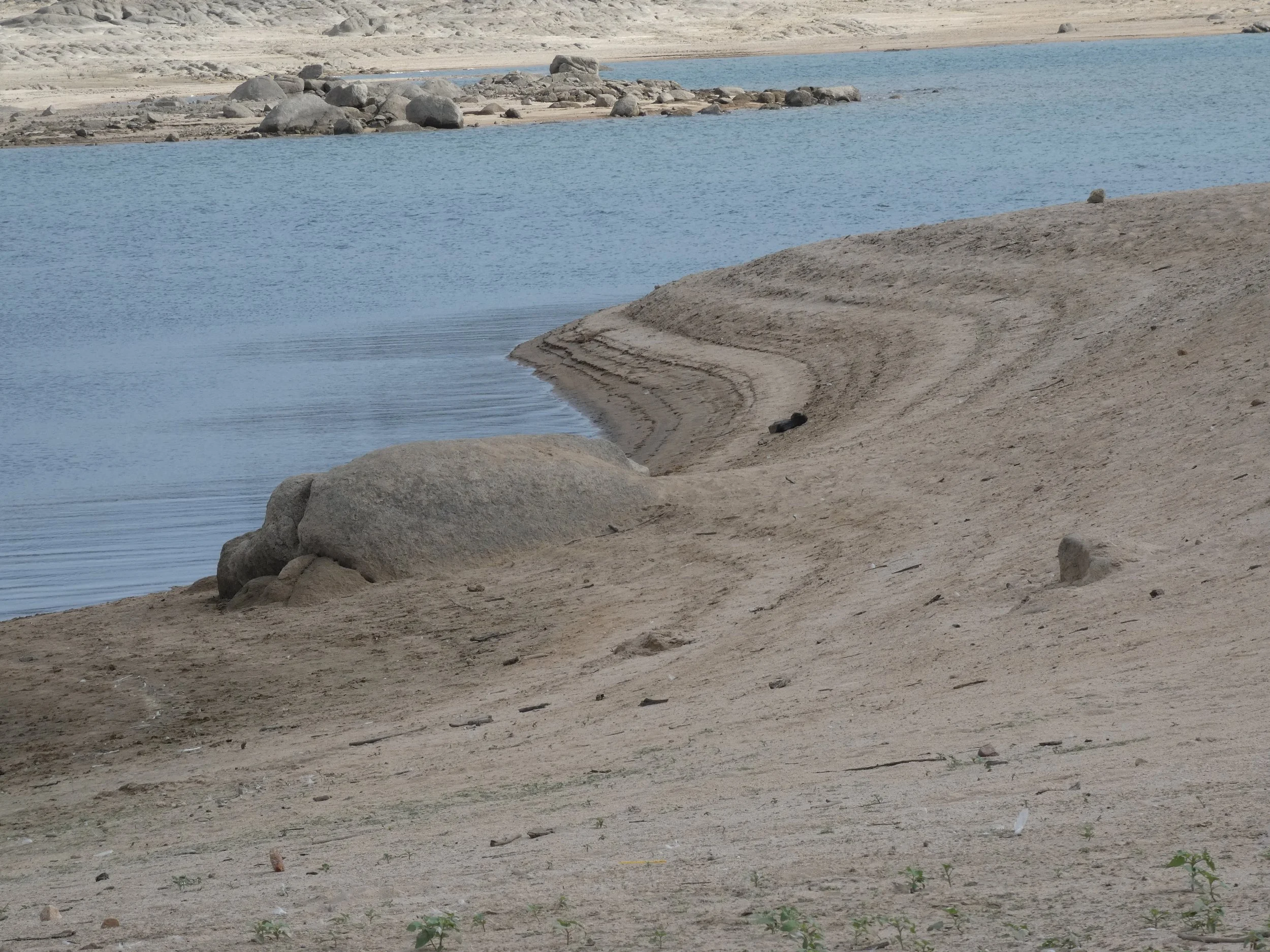 A sandy shore with scattered rocks and water in the background.