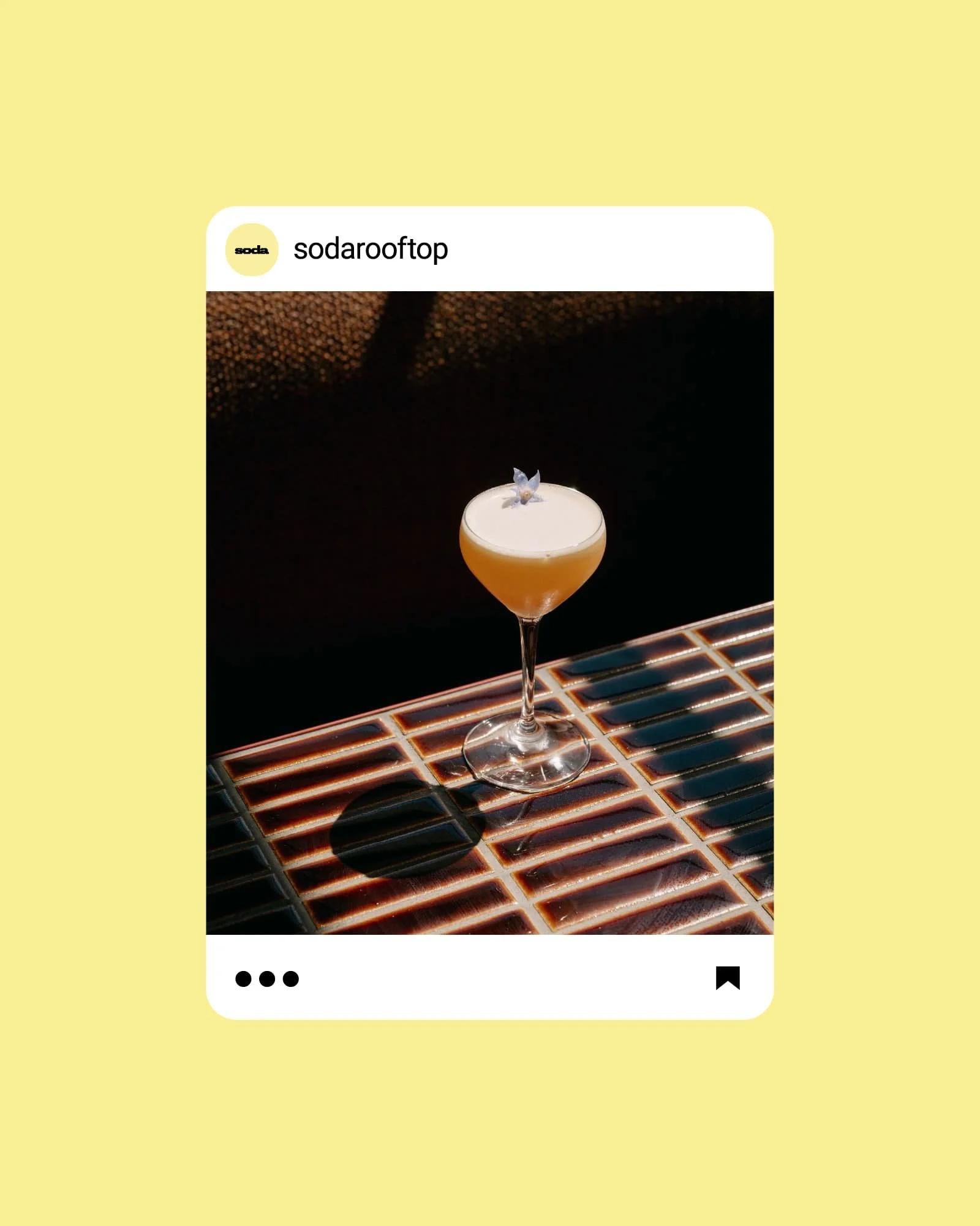 SODA WEB MOCKUPS-04.jpg