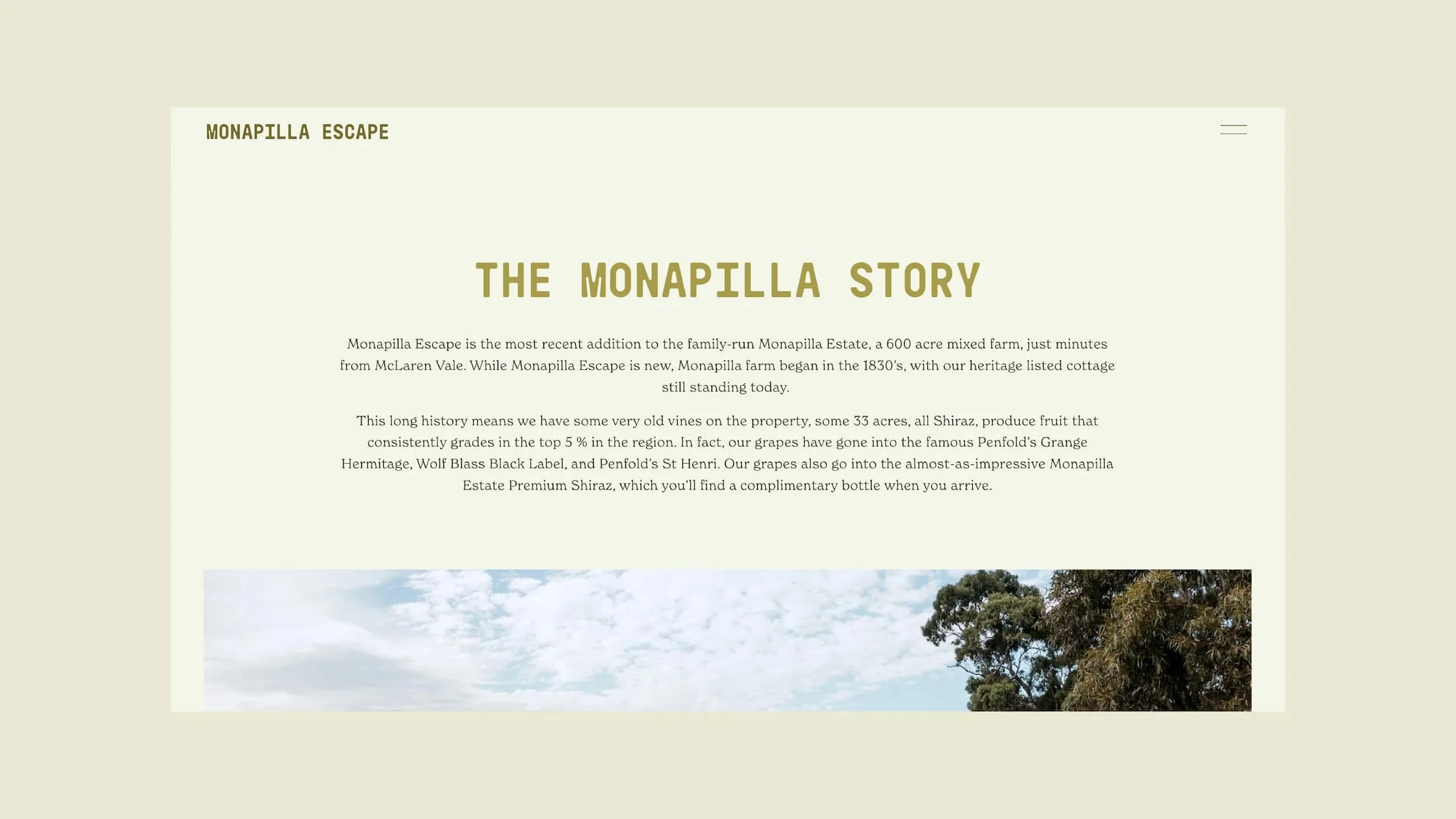 monapilla-04.jpg