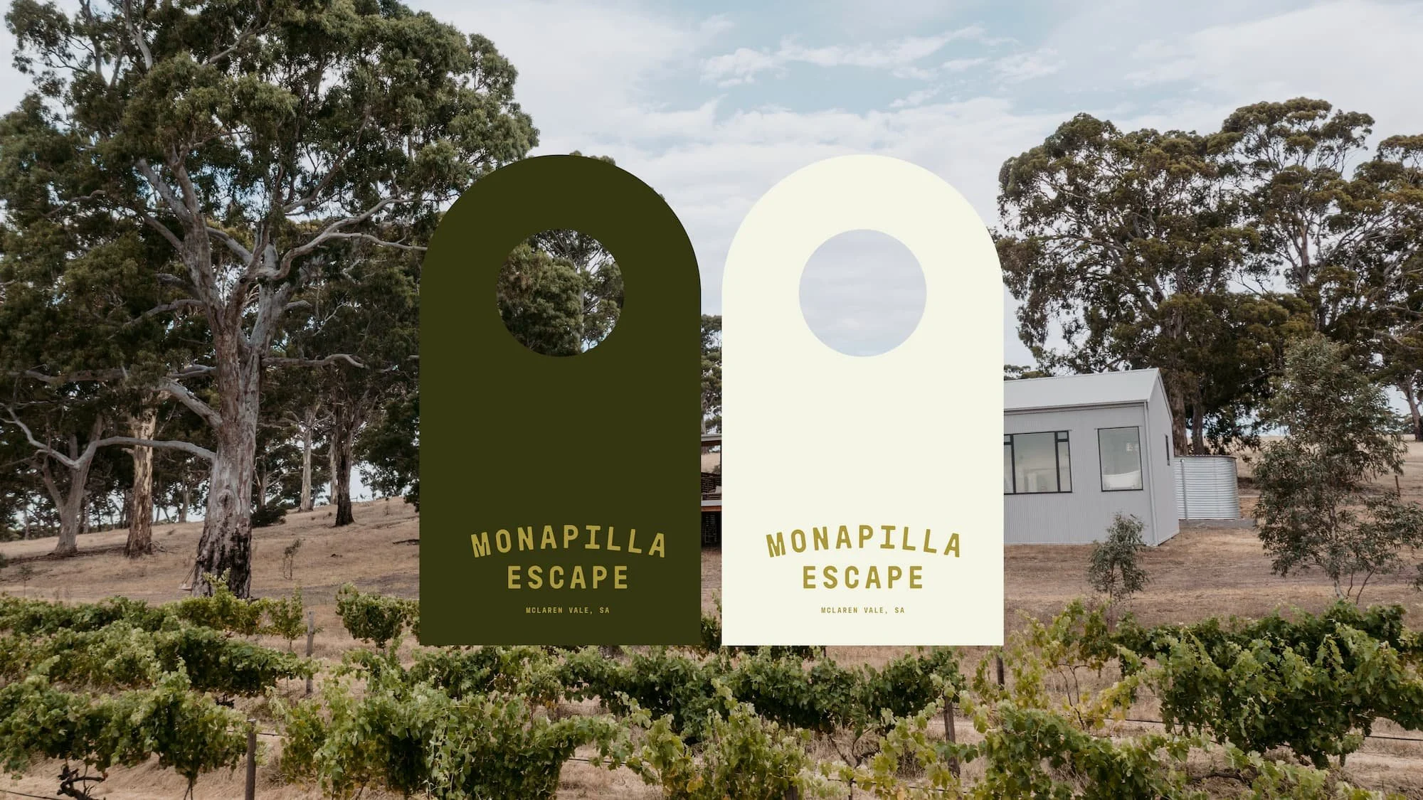 monapilla-01.jpg