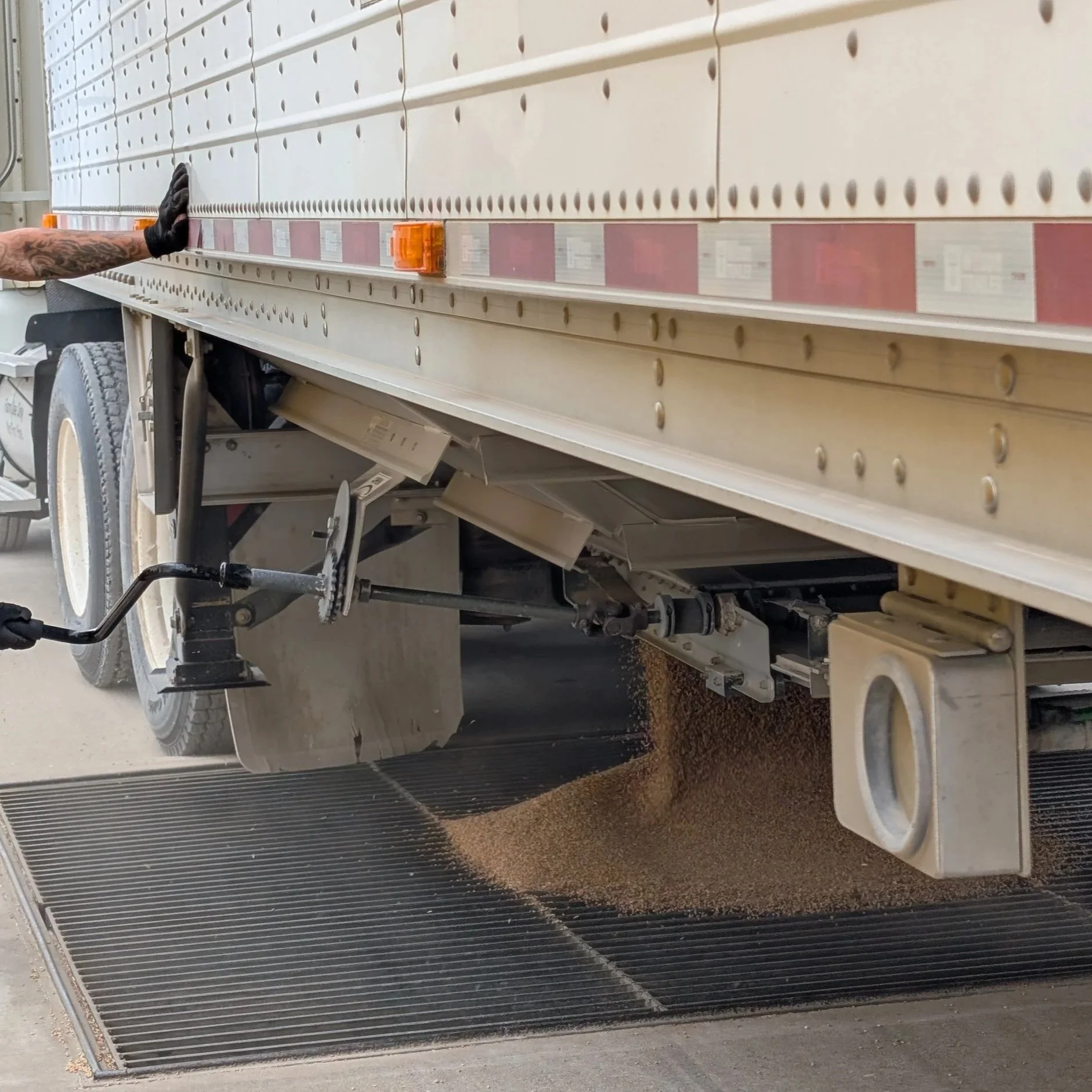 Grain Emptying into Elevator Silo
Photo Credit: Duana Guinty
