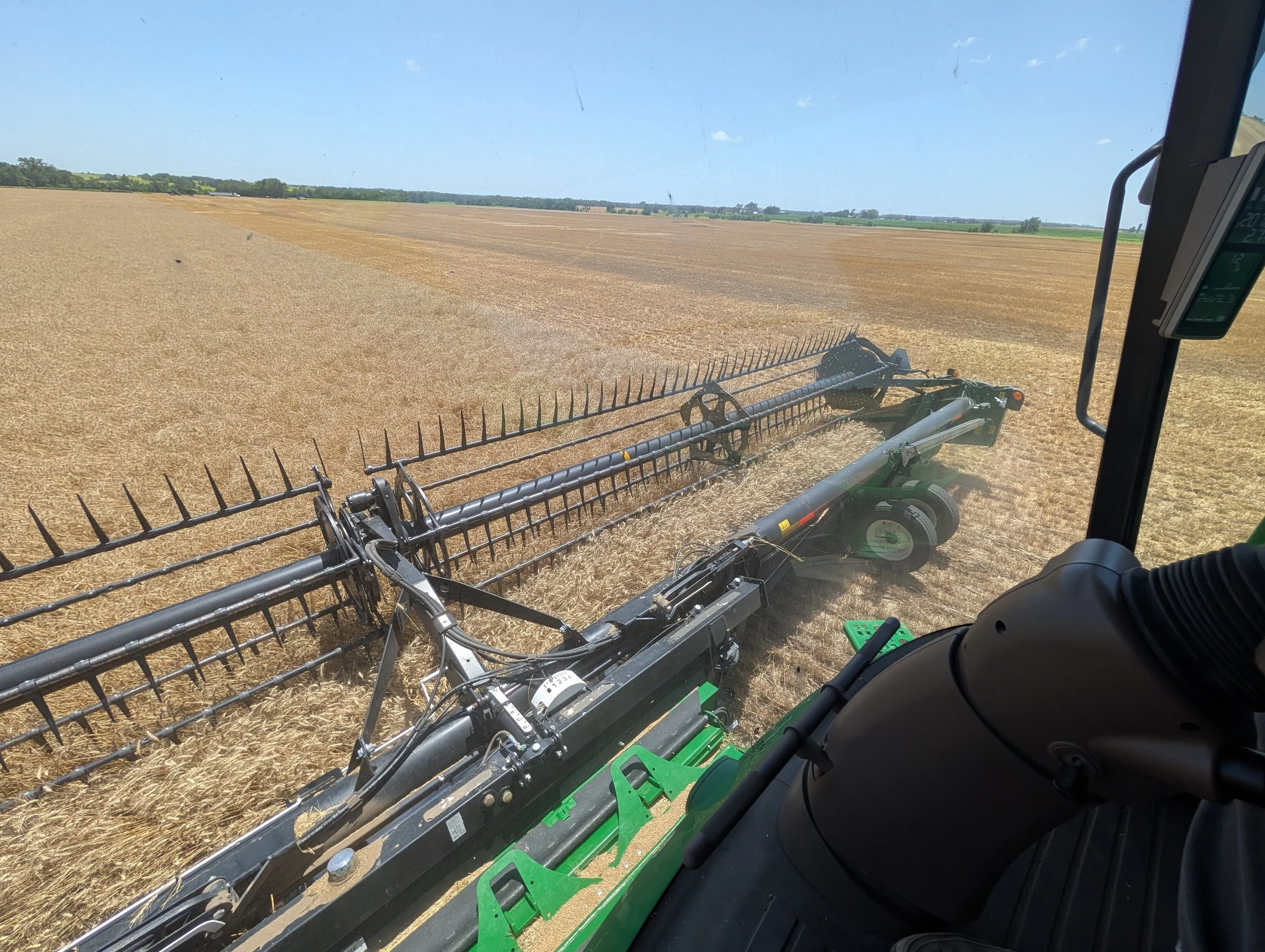 View from the Combine - Cutting Wheat