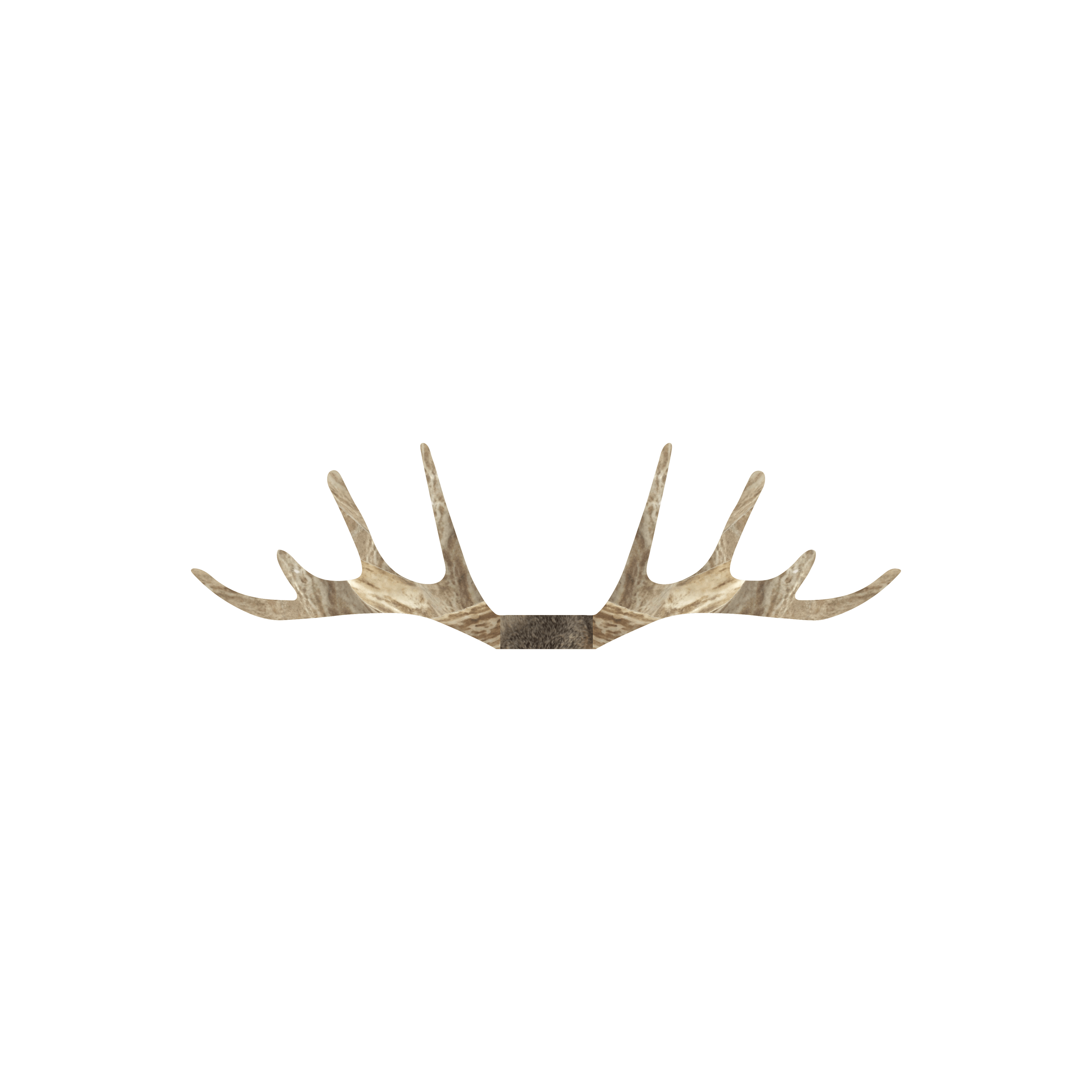 Whitetail Deer Decoy Replacement Parts (Antlers)