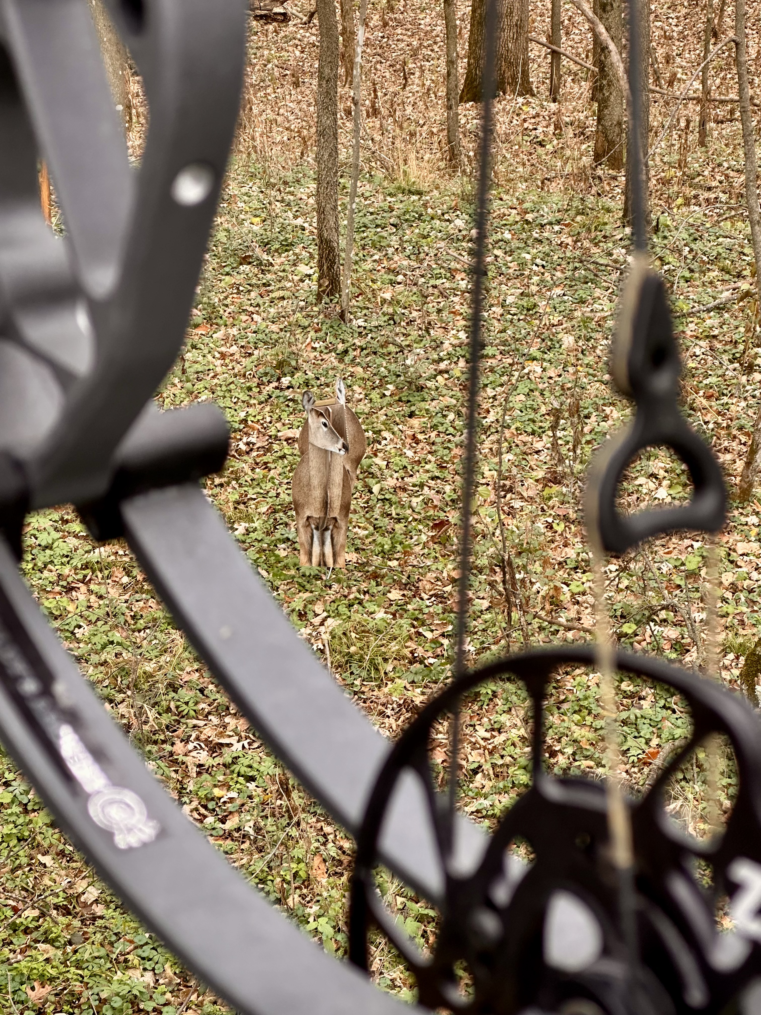 Deer Decoy Hunting Stand.png