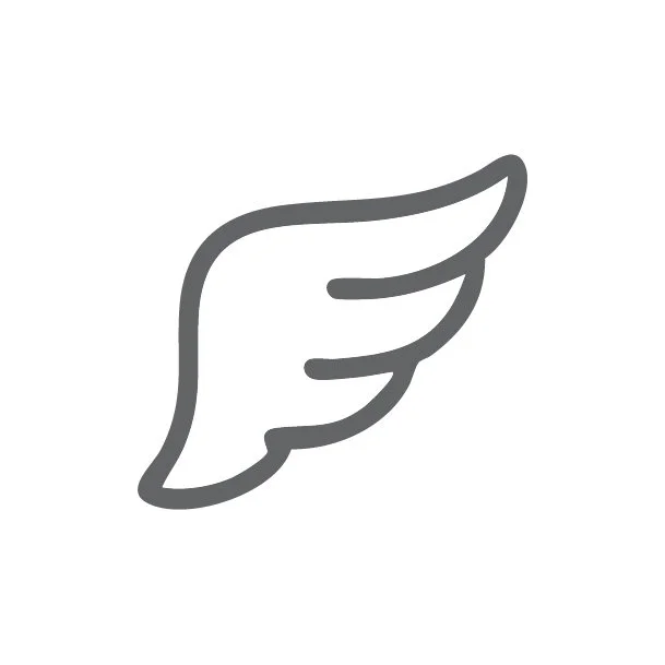 Lightweight easy to carry whitetail deer decoy