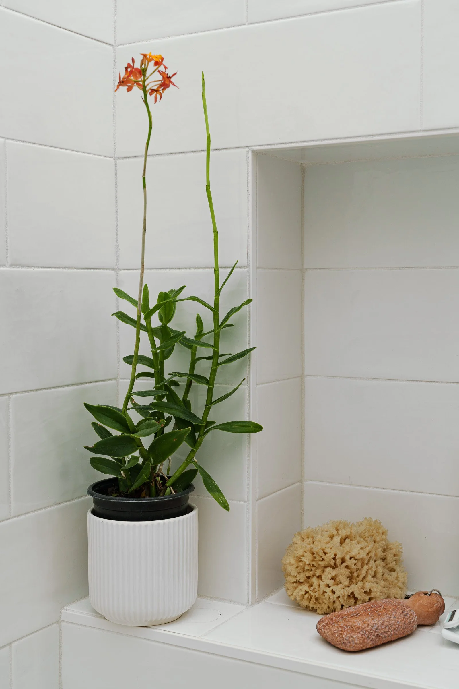 beth-drive-felton-ca-bathroom-remodel-43860.jpg