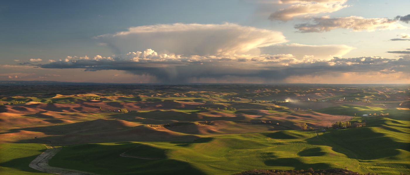 John.PalouseHills.png